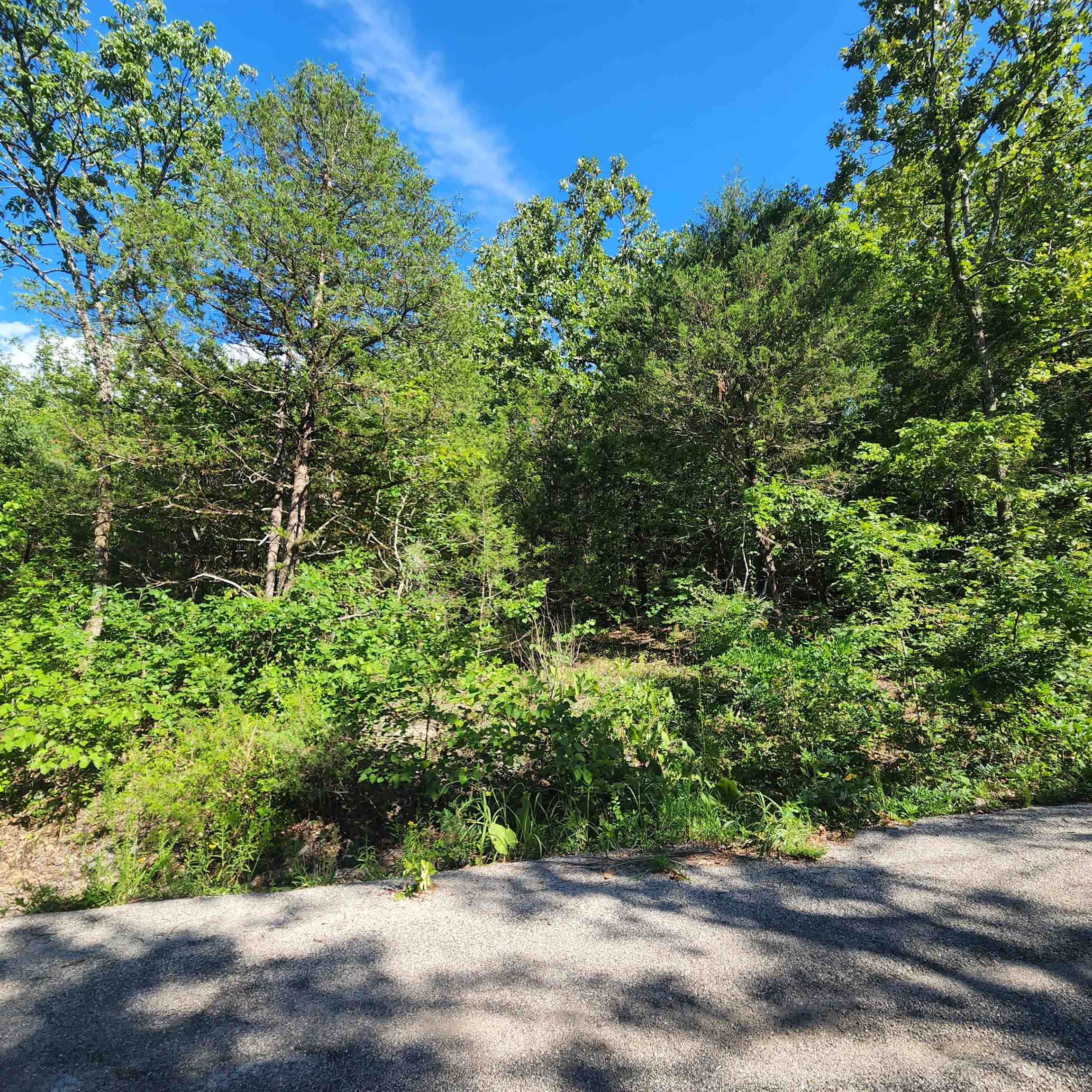 Photo 15 - Vacant Land for sale – L-12 B-8  Choctaw   Cherokee Village, AR