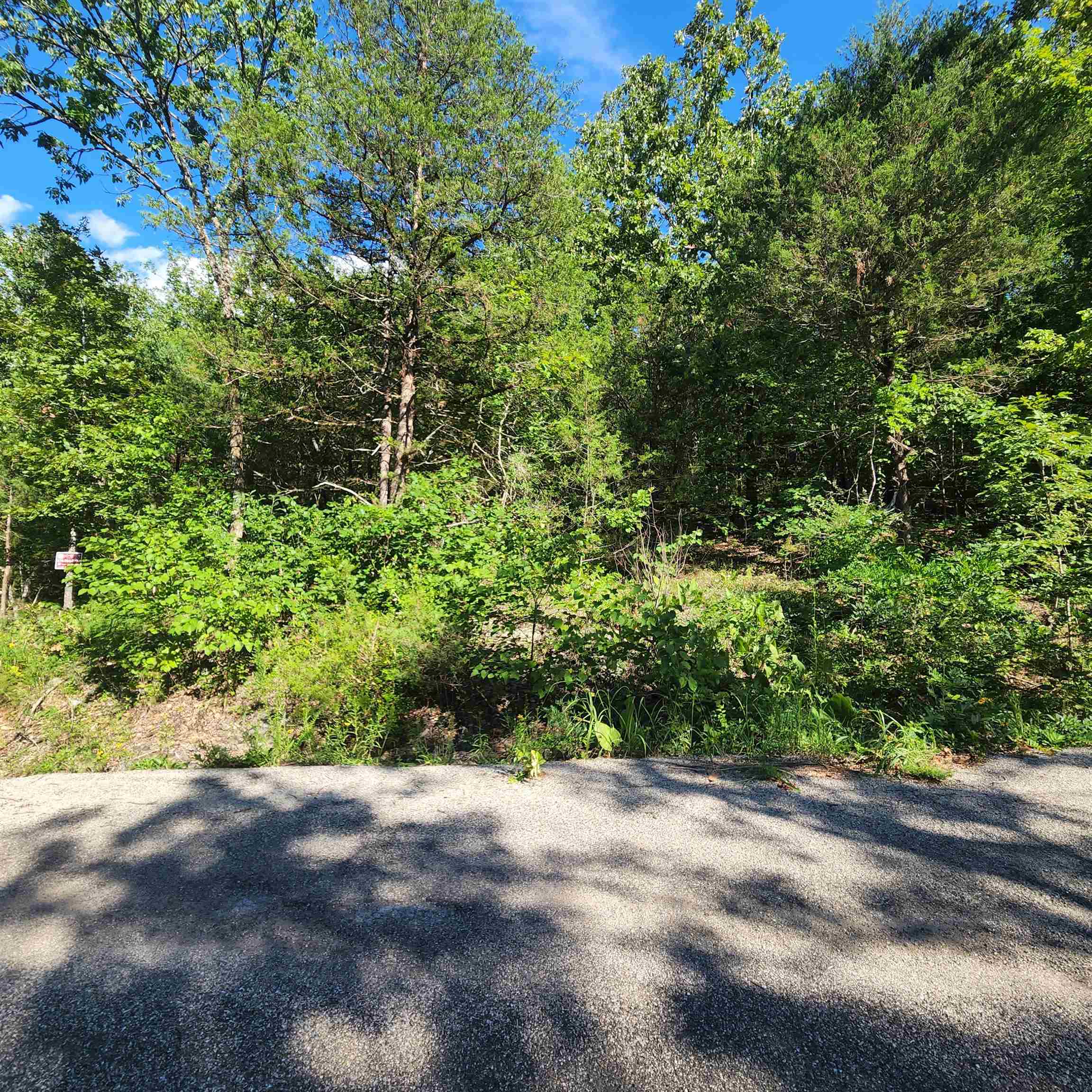 Photo 16 - Vacant Land for sale – L-12 B-8  Choctaw   Cherokee Village, AR