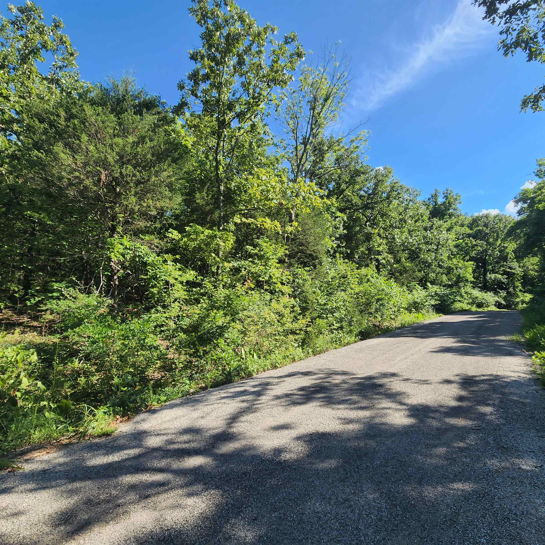 Photo 17 - Vacant Land for sale – L-12 B-8  Choctaw   Cherokee Village, AR