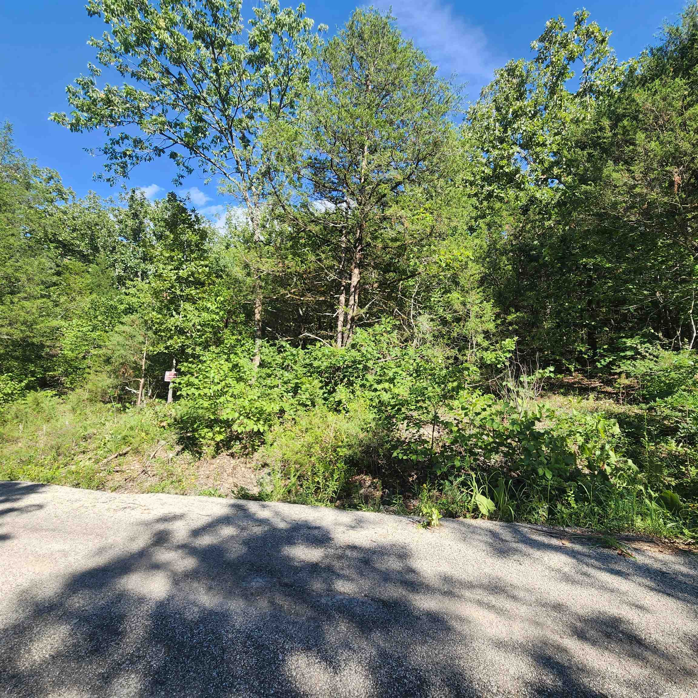 Photo 18 - Vacant Land for sale – L-12 B-8  Choctaw   Cherokee Village, AR