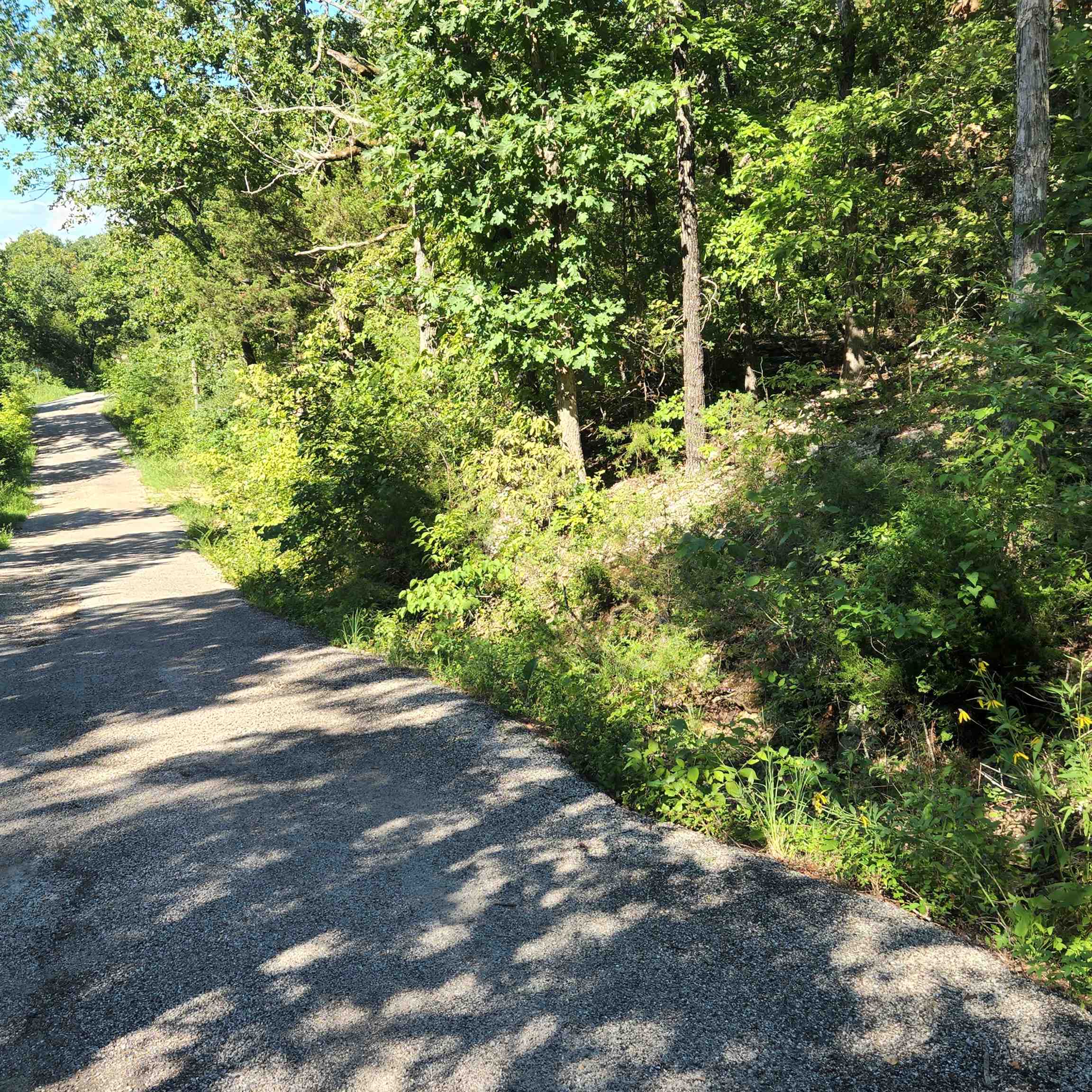Photo 3 - Vacant Land for sale – L-12 B-8  Choctaw   Cherokee Village, AR
