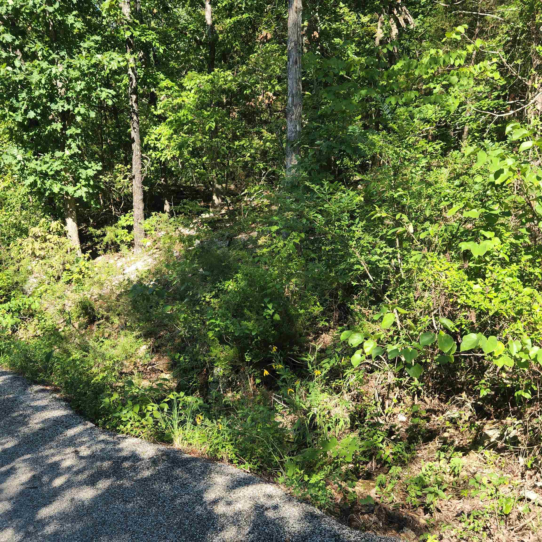 Photo 5 - Vacant Land for sale – L-12 B-8  Choctaw   Cherokee Village, AR