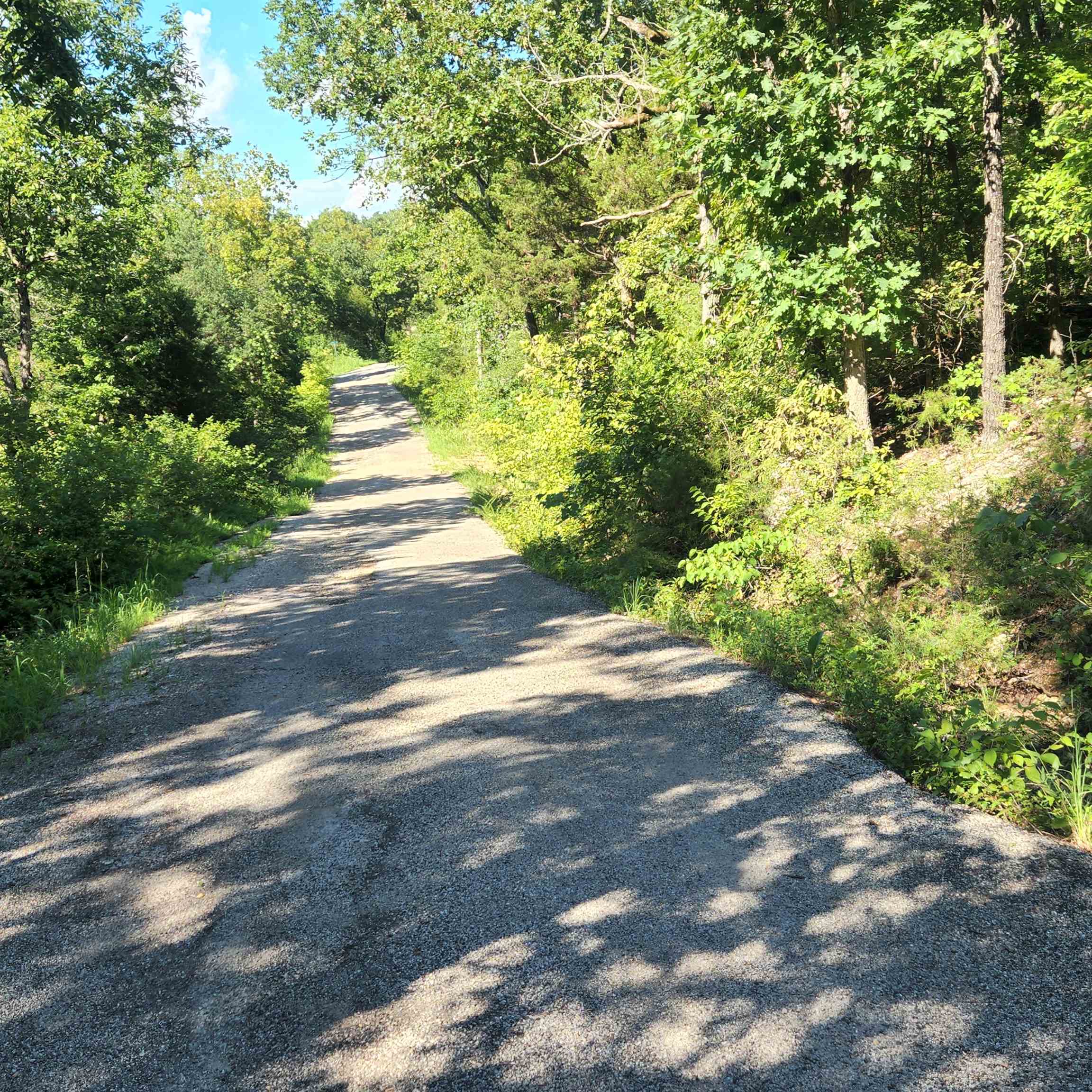 Photo 6 - Vacant Land for sale – L-12 B-8  Choctaw   Cherokee Village, AR