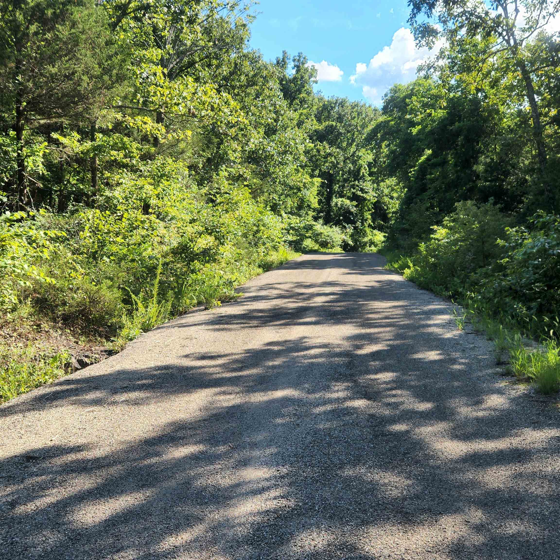 Photo 7 - Vacant Land for sale – L-12 B-8  Choctaw   Cherokee Village, AR