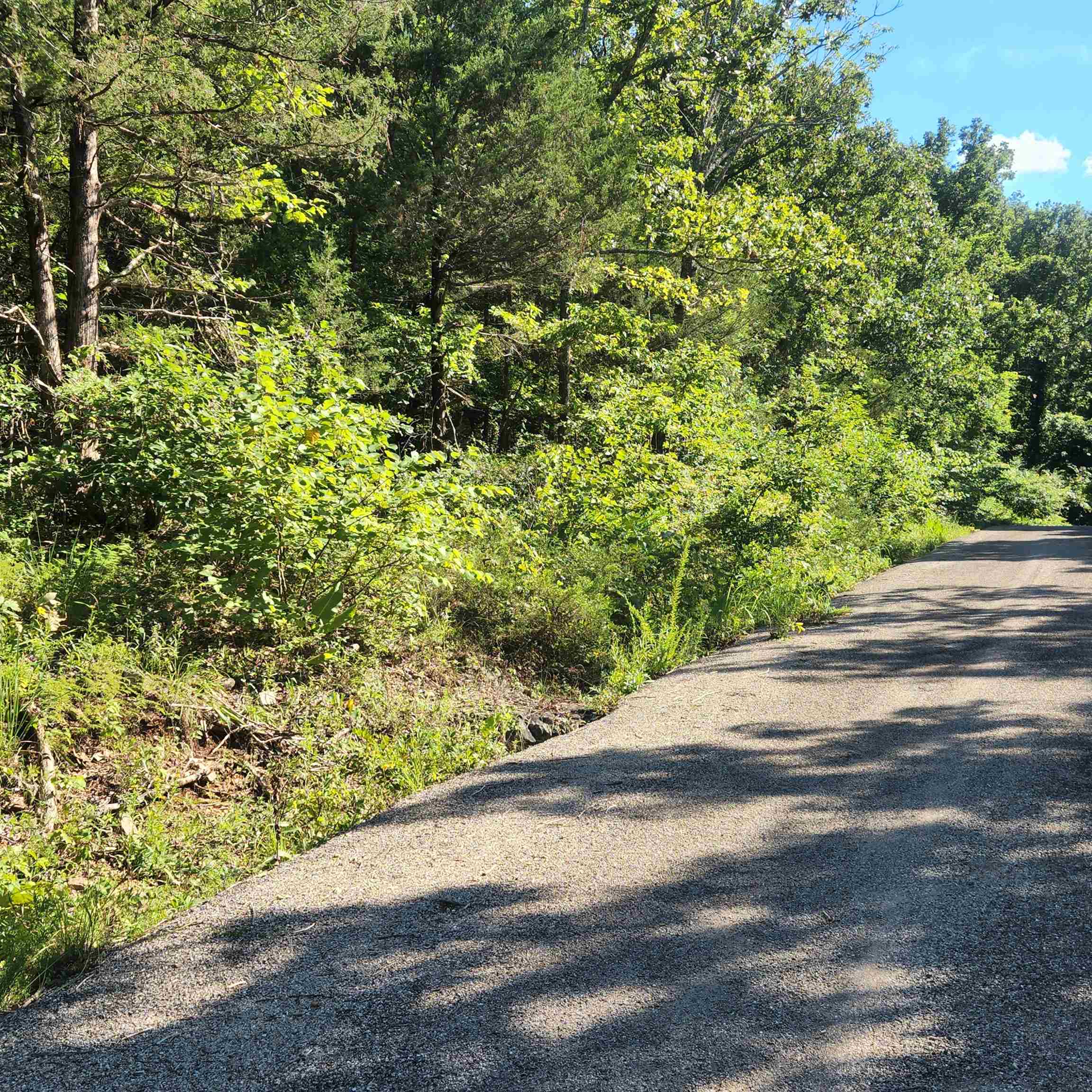 Photo 8 - Vacant Land for sale – L-12 B-8  Choctaw   Cherokee Village, AR