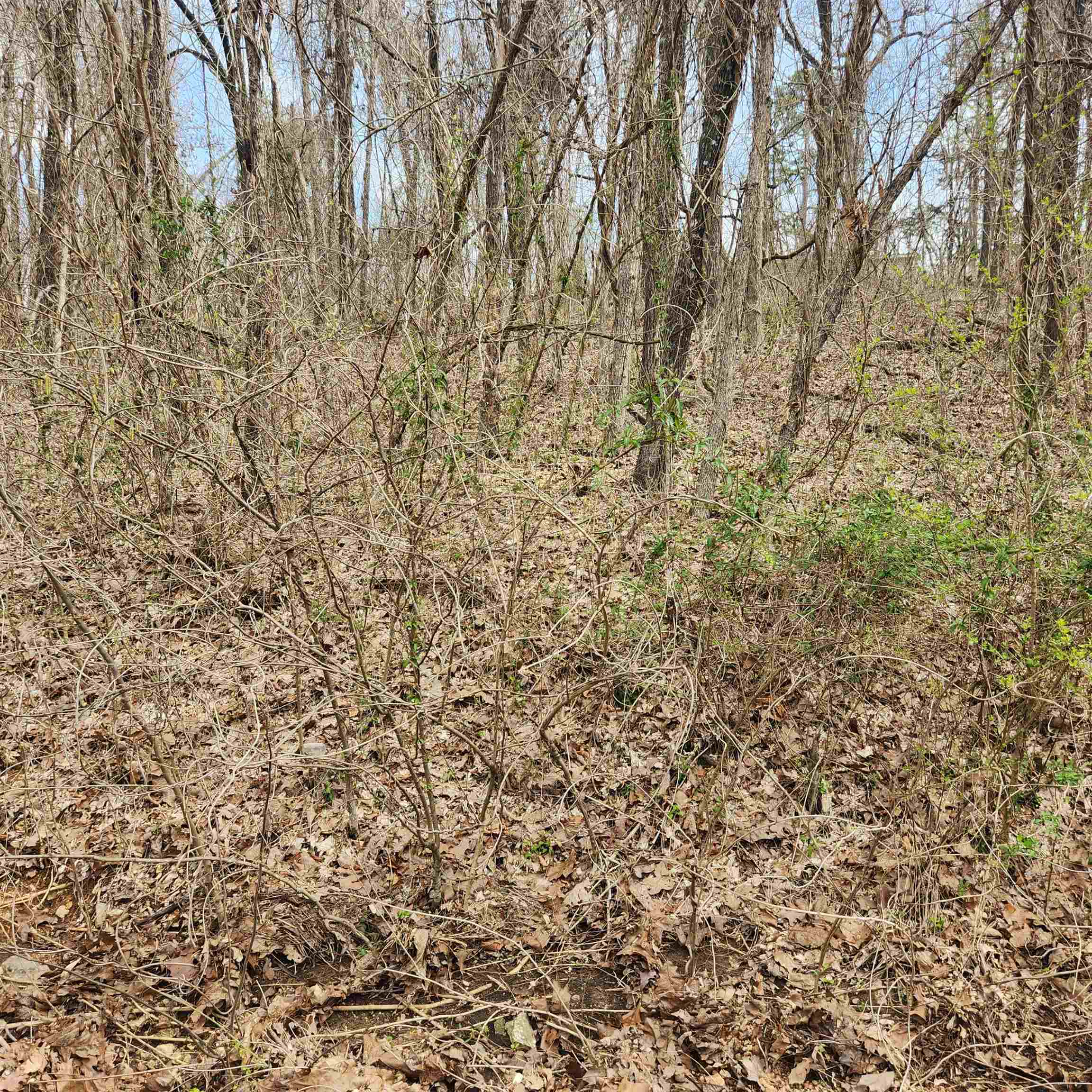 Vacant Land for sale – L-15, B-9  Choctaw   Cherokee Village, AR