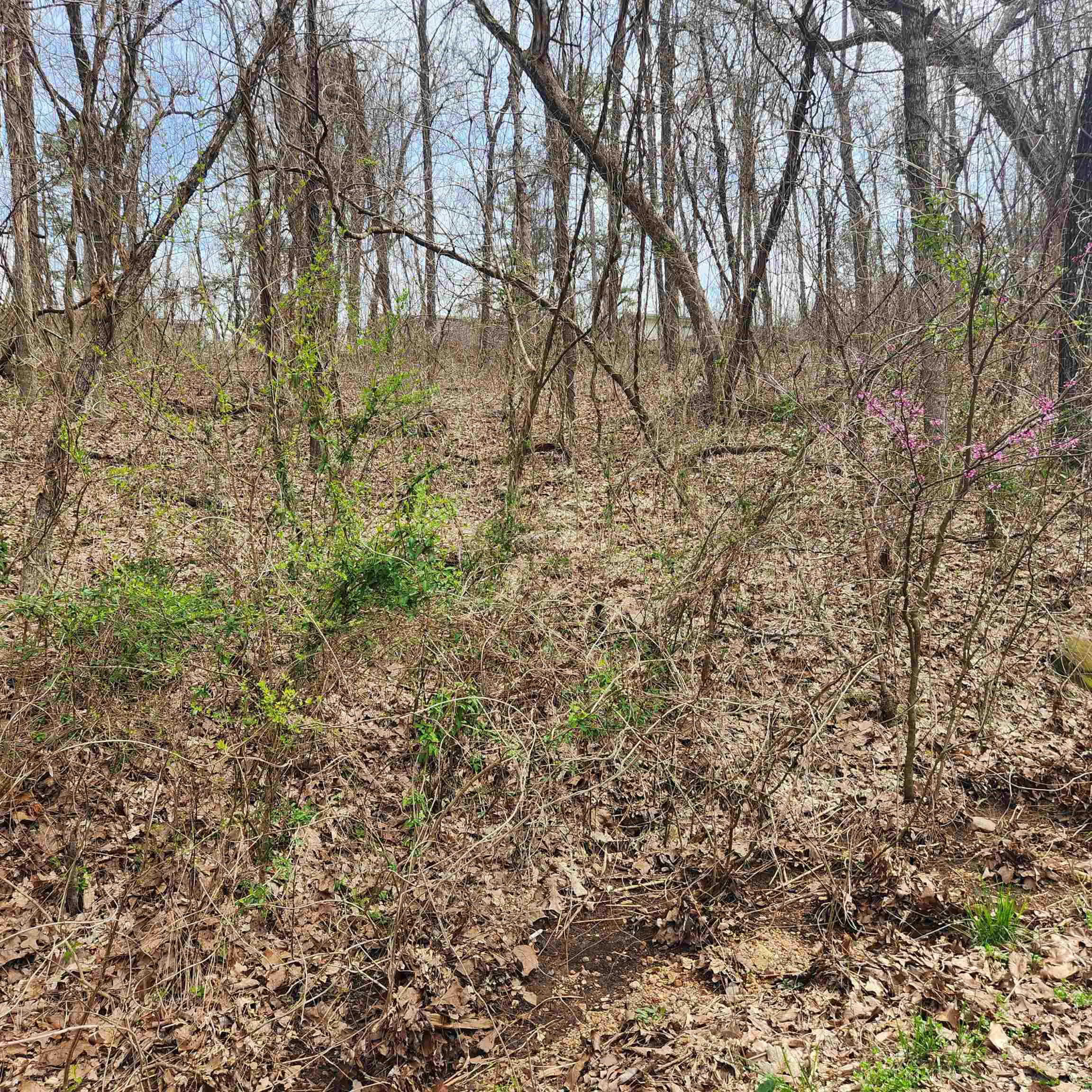 Photo 2 - Vacant Land for sale – L-15, B-9  Choctaw   Cherokee Village, AR