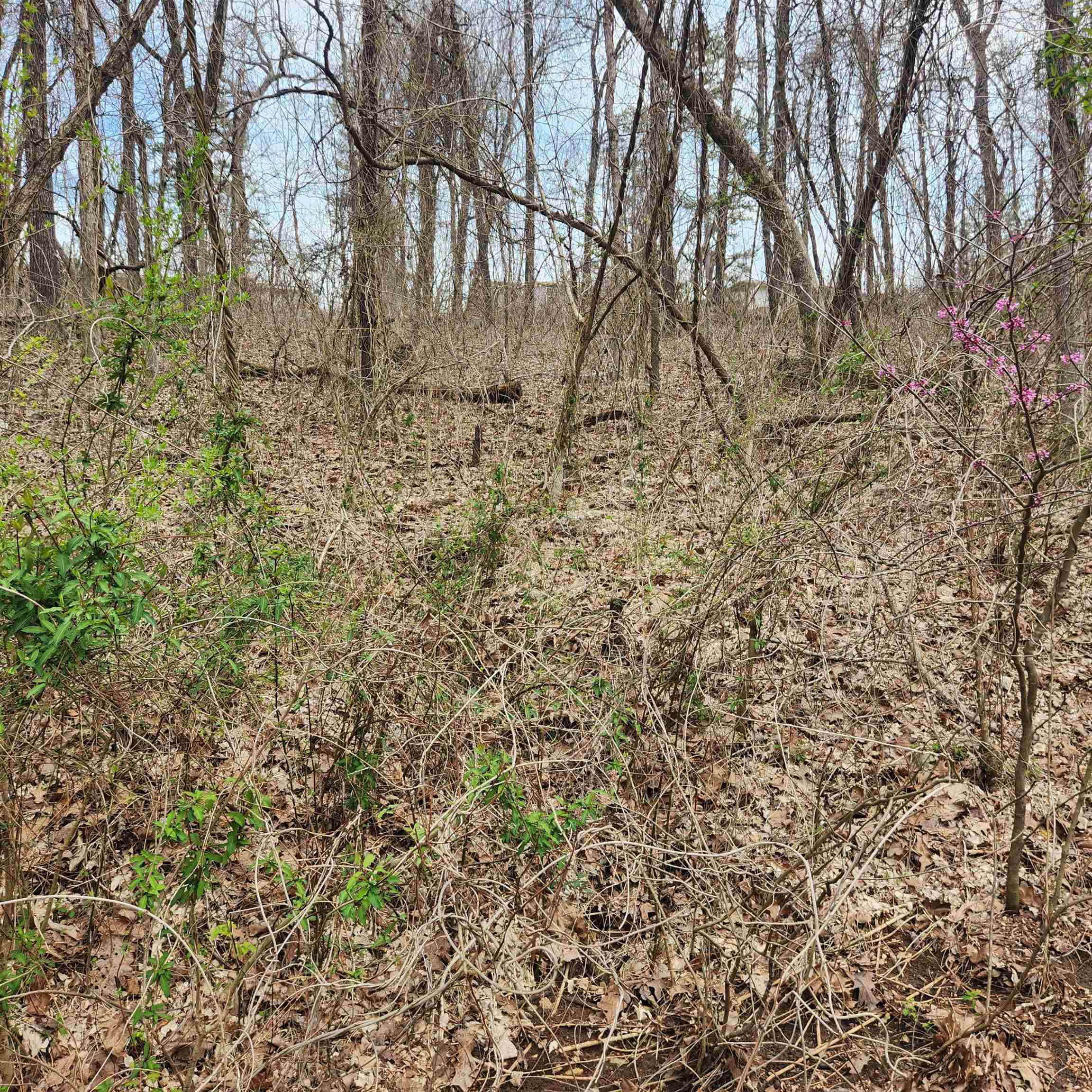 Photo 4 - Vacant Land for sale – L-15, B-9  Choctaw   Cherokee Village, AR