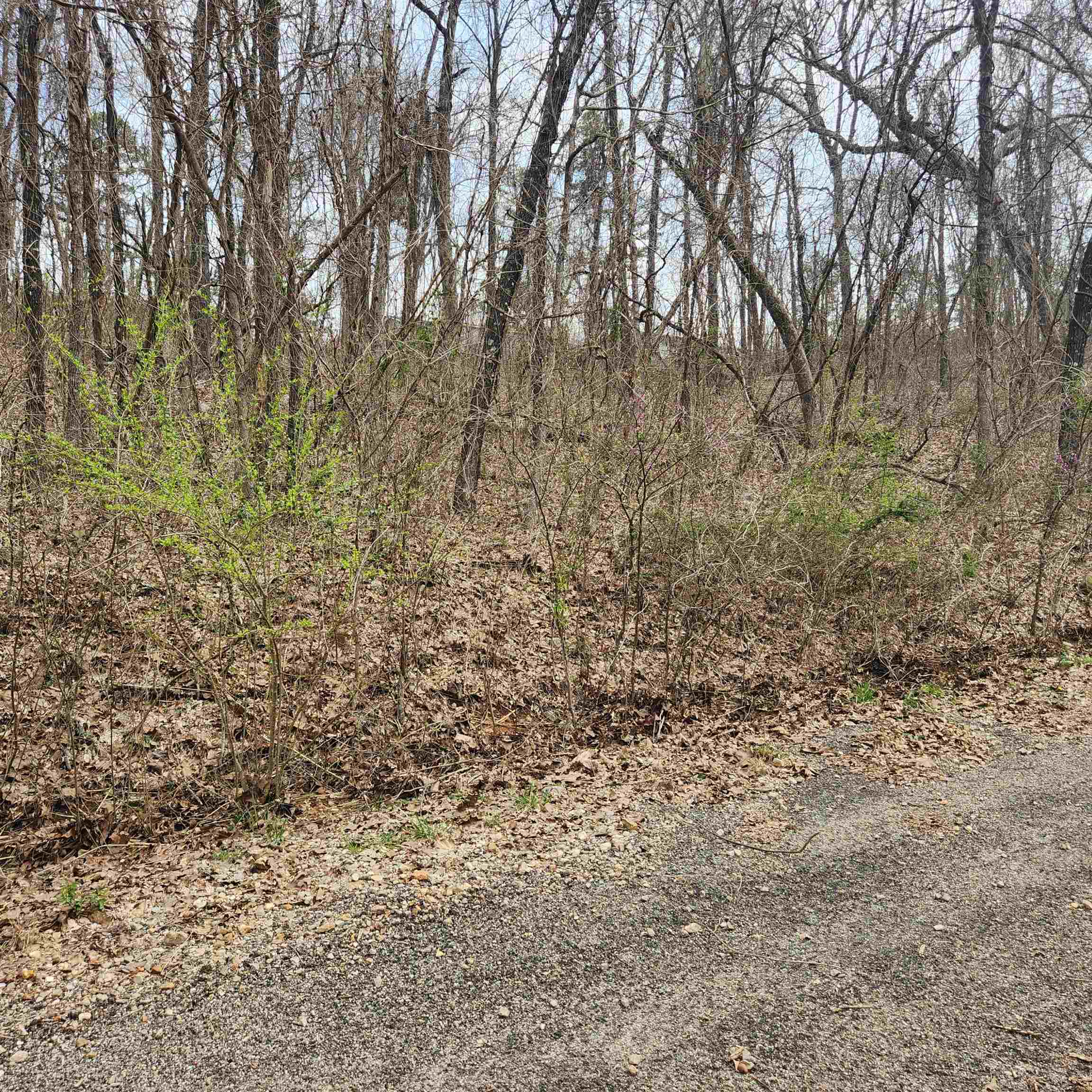 Photo 5 - Vacant Land for sale – L-15, B-9  Choctaw   Cherokee Village, AR