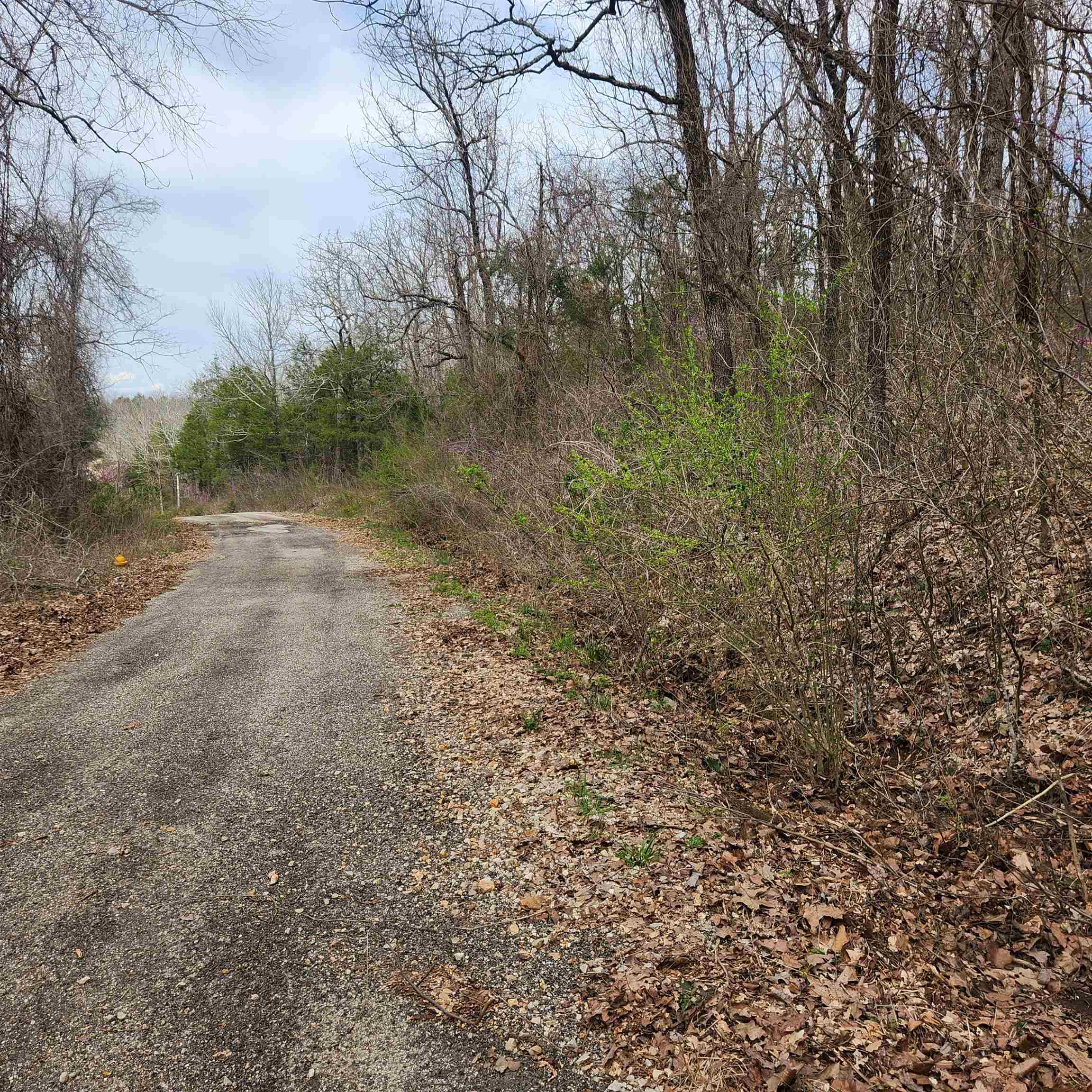 Photo 8 - Vacant Land for sale – L-15, B-9  Choctaw   Cherokee Village, AR