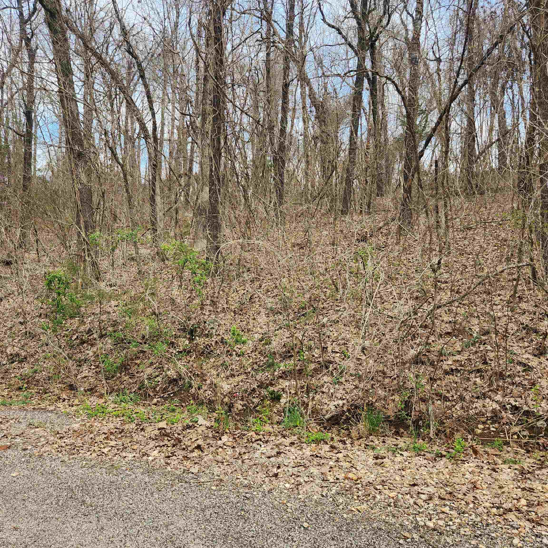 Photo 9 - Vacant Land for sale – L-15, B-9  Choctaw   Cherokee Village, AR