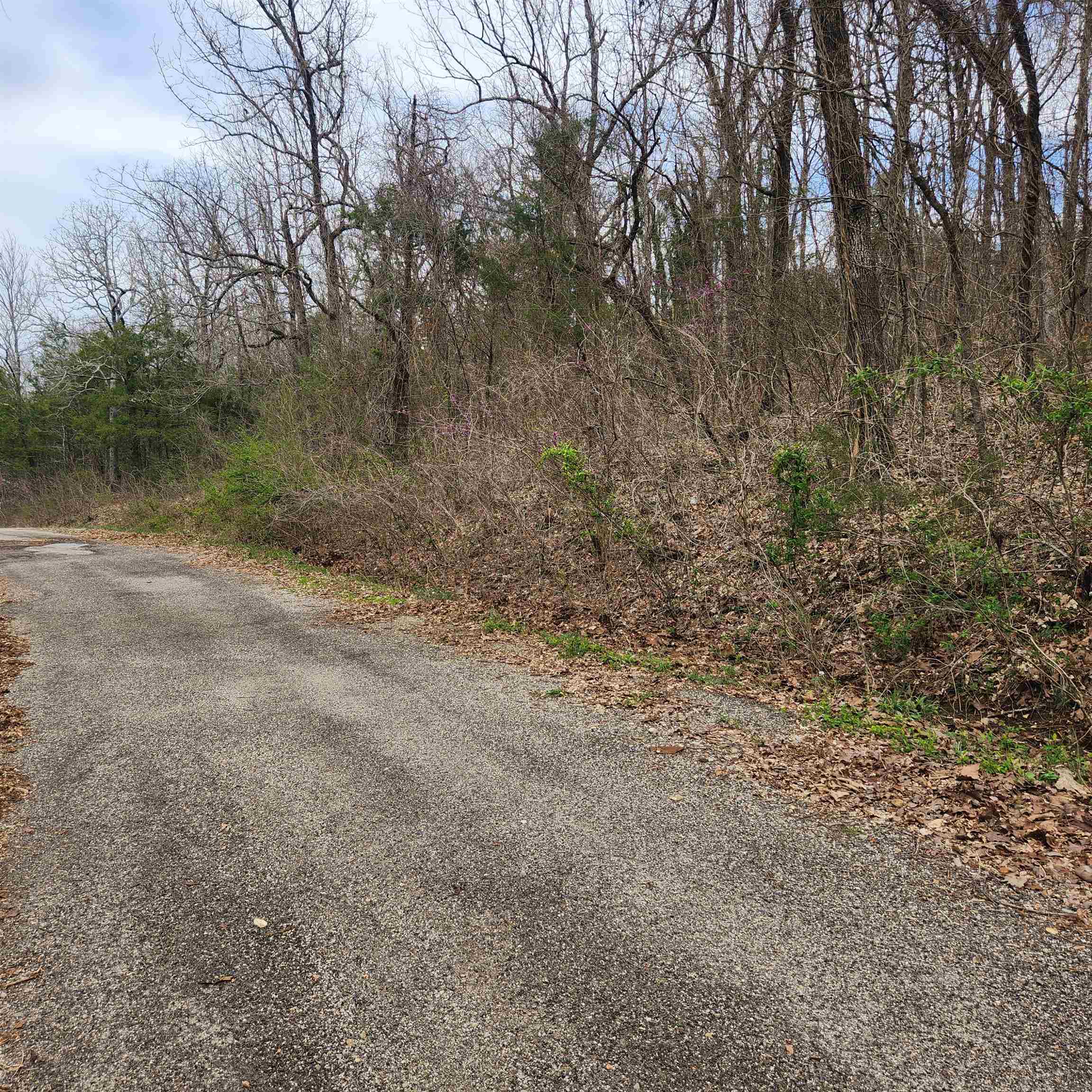 Photo 10 - Vacant Land for sale – L-15, B-9  Choctaw   Cherokee Village, AR