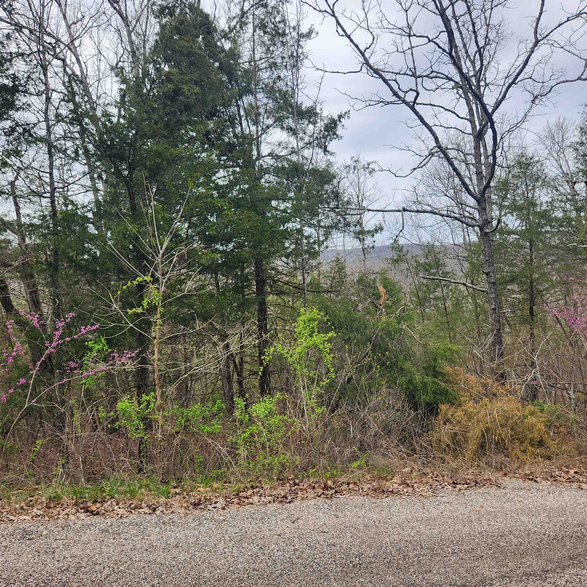 Vacant Land for sale – L-8, B-11  Choctaw   Cherokee Village, AR