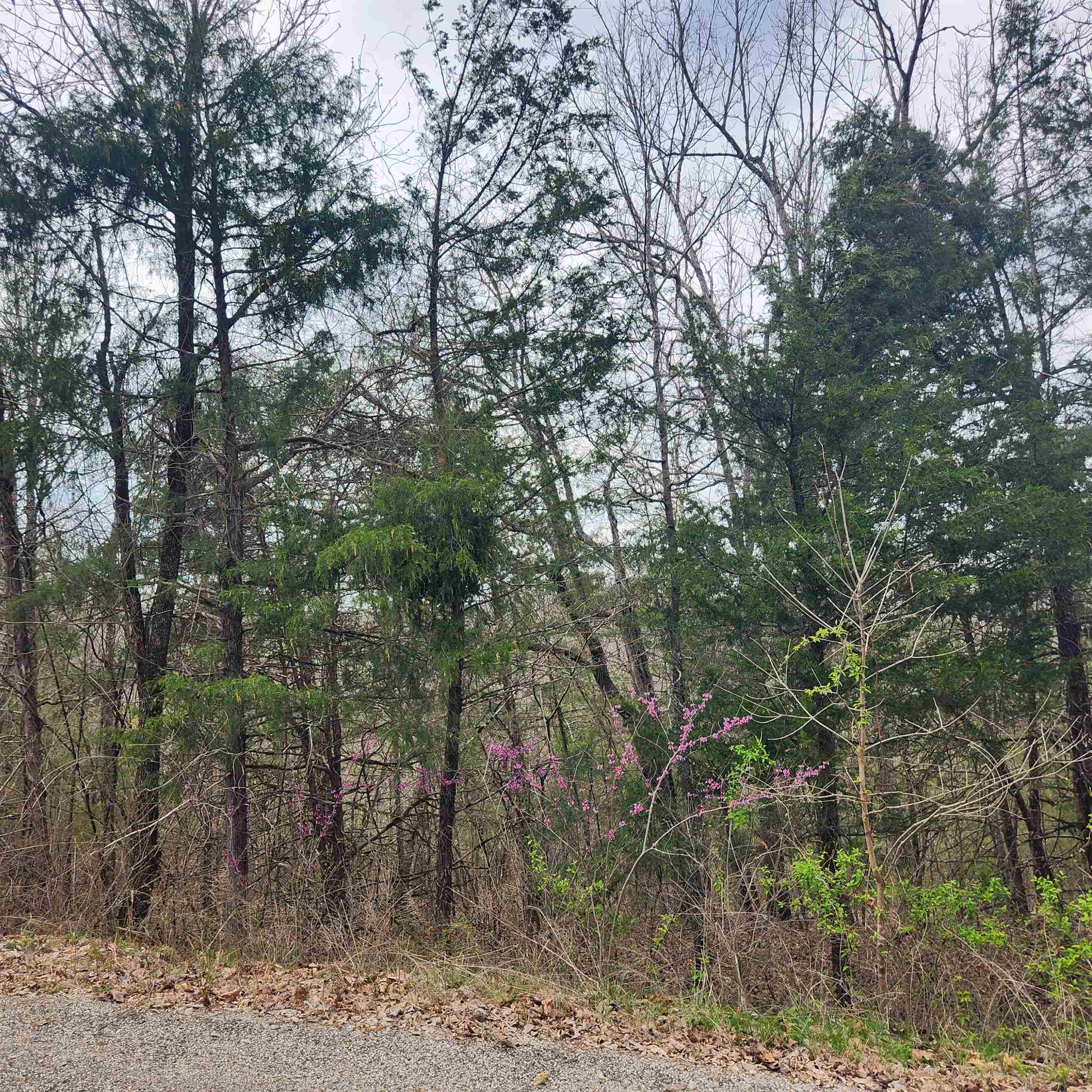 Photo 2 - Vacant Land for sale – L-8, B-11  Choctaw   Cherokee Village, AR