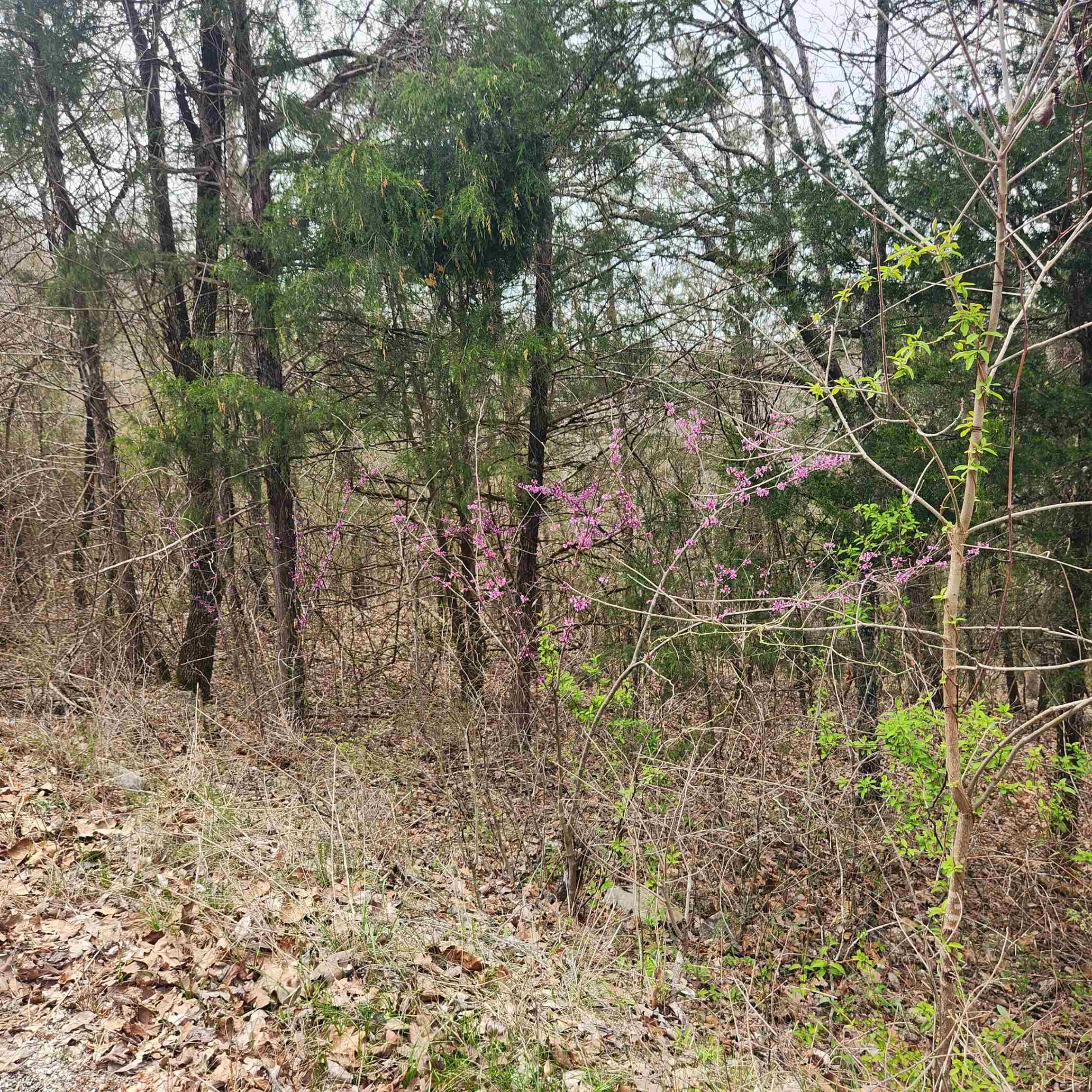 Photo 3 - Vacant Land for sale – L-8, B-11  Choctaw   Cherokee Village, AR