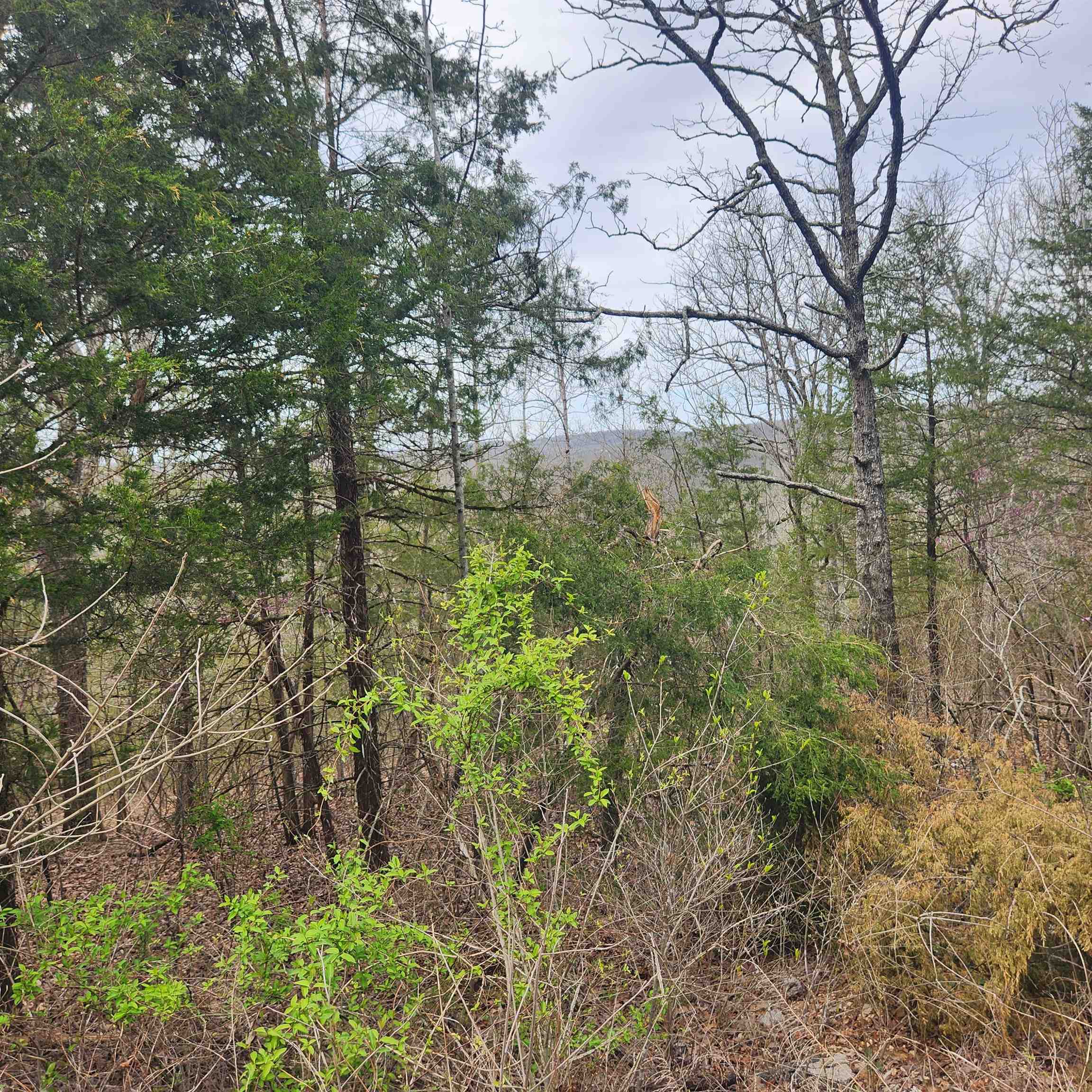 Photo 4 - Vacant Land for sale – L-8, B-11  Choctaw   Cherokee Village, AR