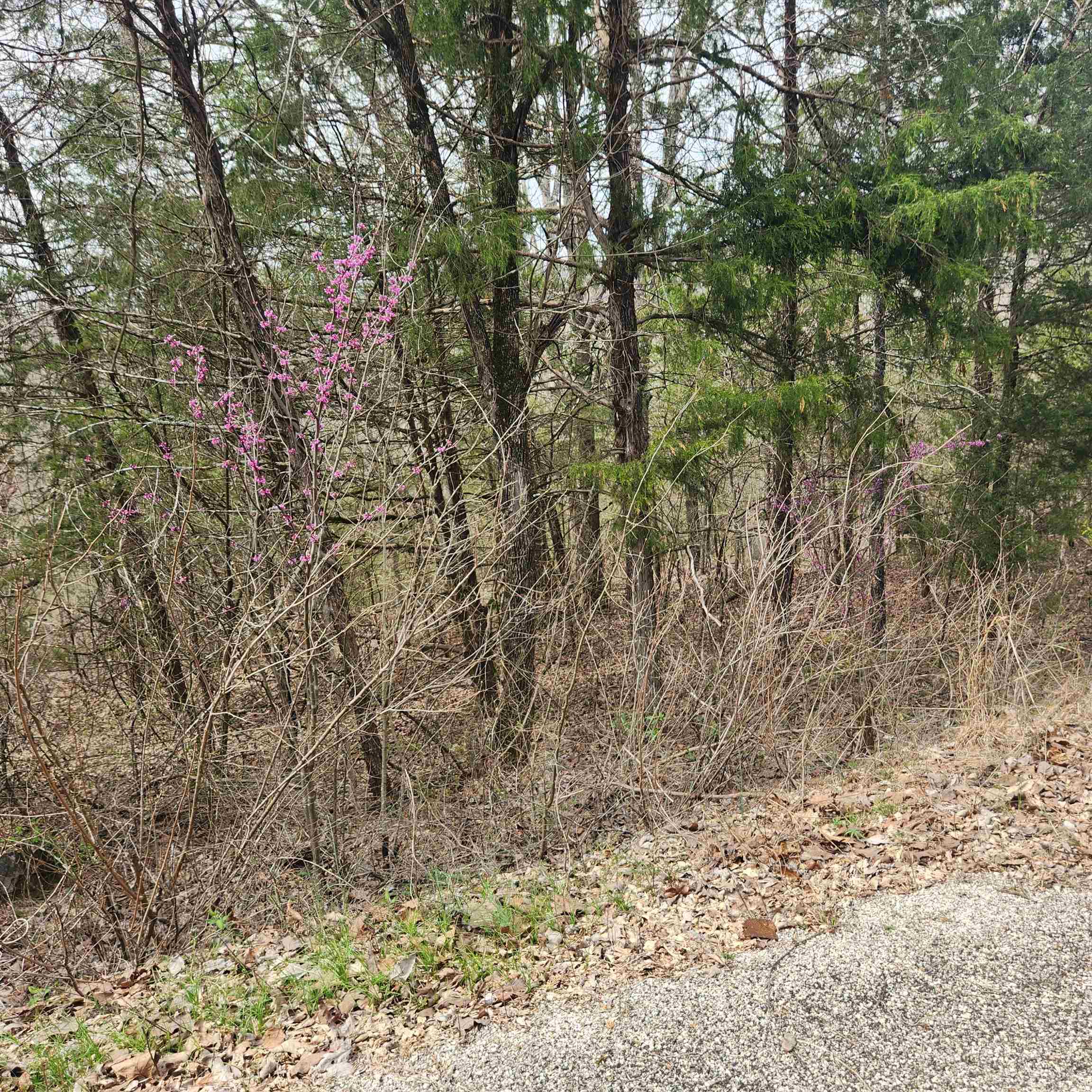 Photo 5 - Vacant Land for sale – L-8, B-11  Choctaw   Cherokee Village, AR