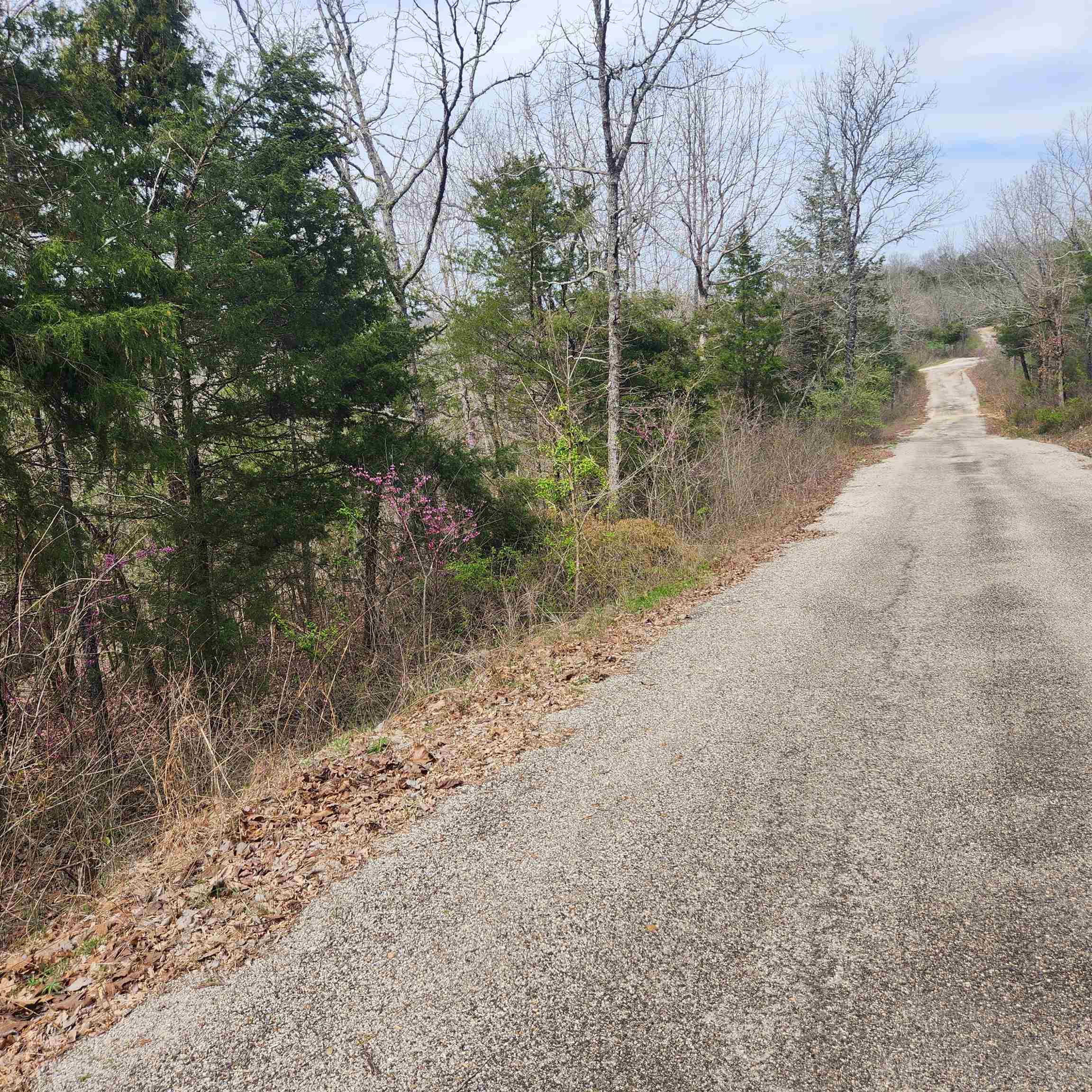Photo 6 - Vacant Land for sale – L-8, B-11  Choctaw   Cherokee Village, AR