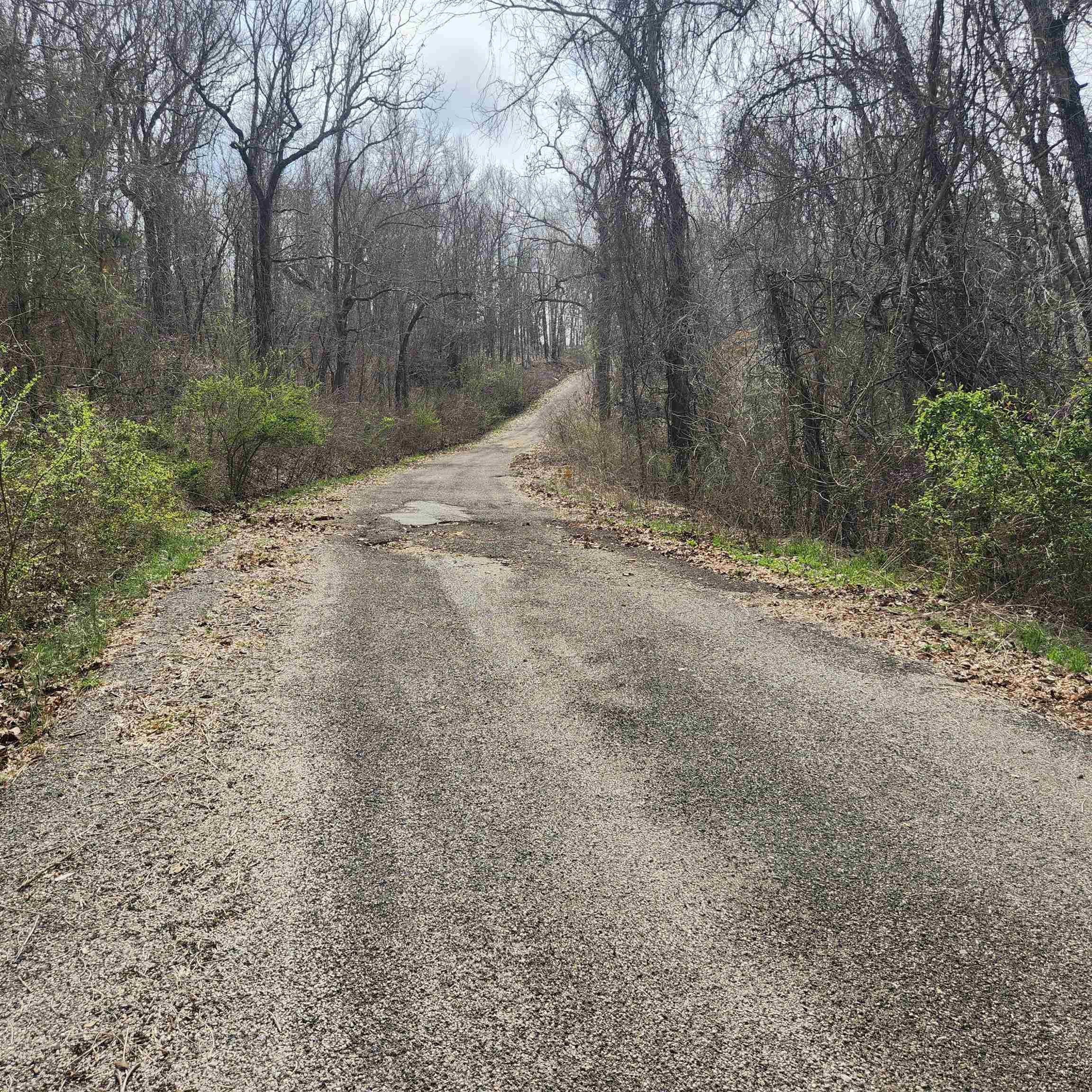 Photo 7 - Vacant Land for sale – L-8, B-11  Choctaw   Cherokee Village, AR