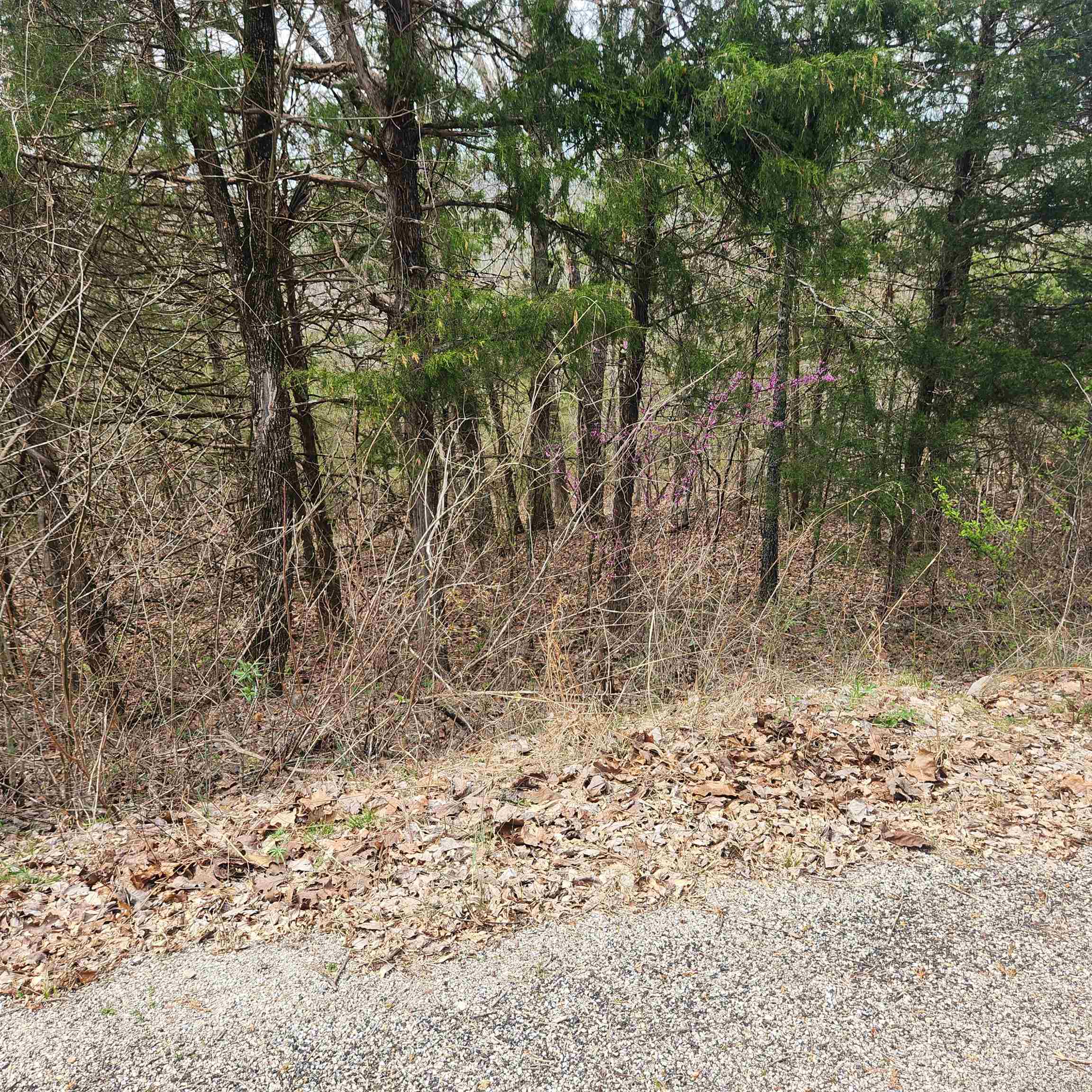 Photo 8 - Vacant Land for sale – L-8, B-11  Choctaw   Cherokee Village, AR