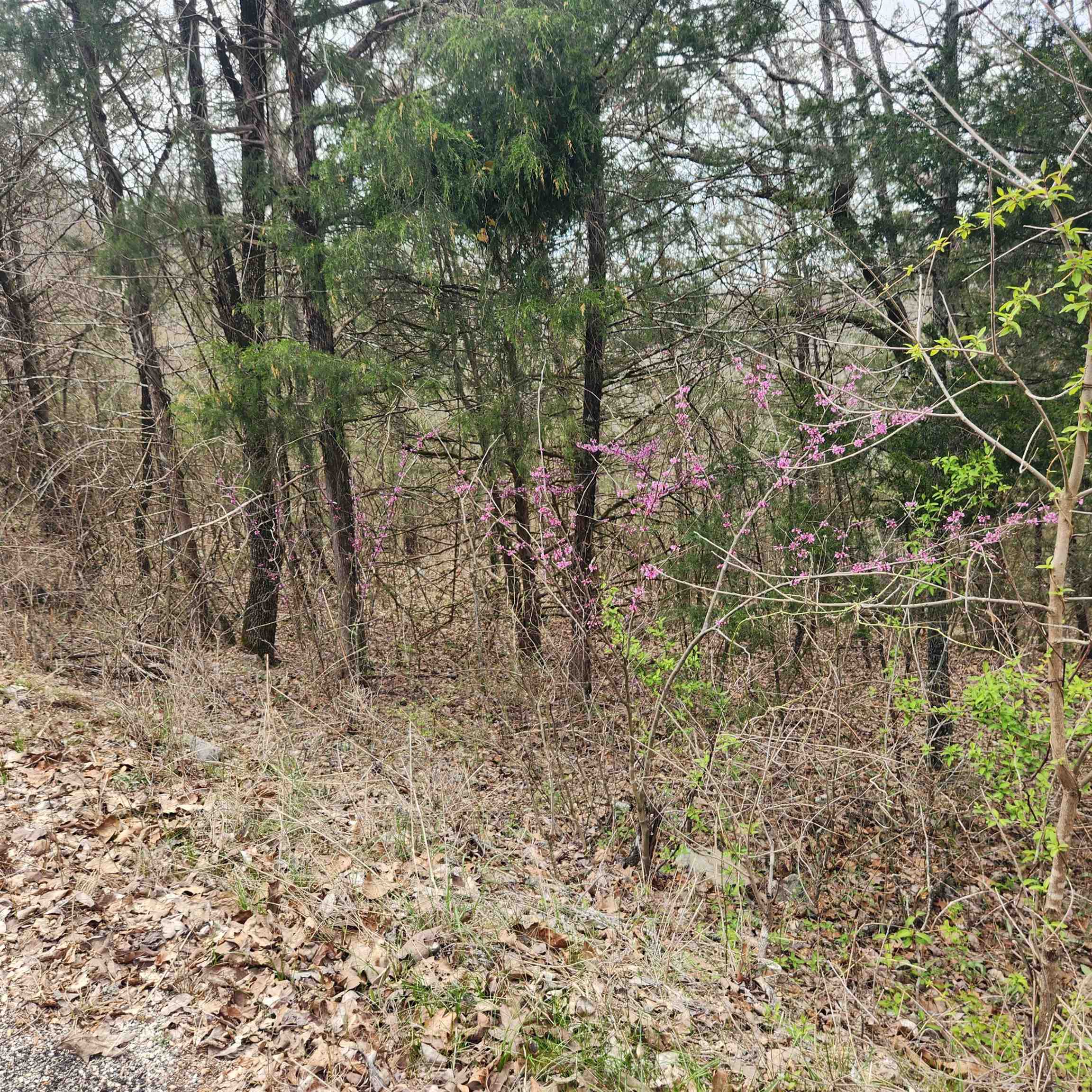 Photo 9 - Vacant Land for sale – L-8, B-11  Choctaw   Cherokee Village, AR