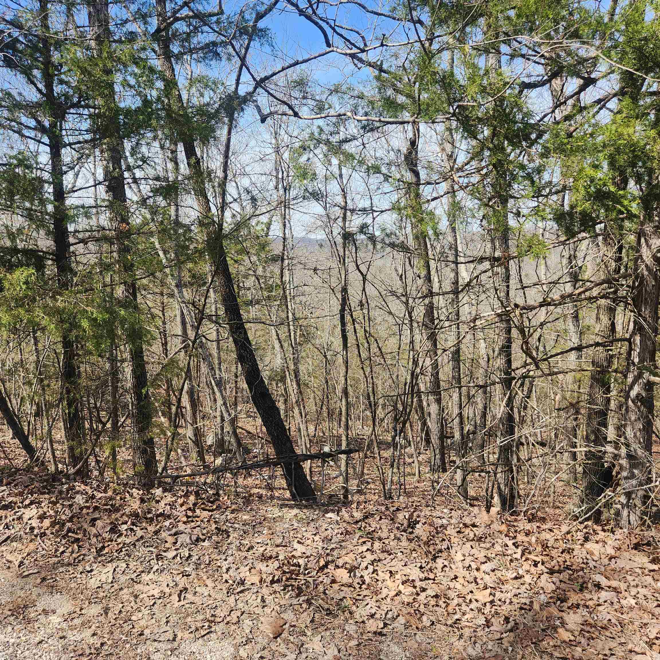 Vacant Land for sale – L-43, B-4  Warclub   Cherokee Village, AR