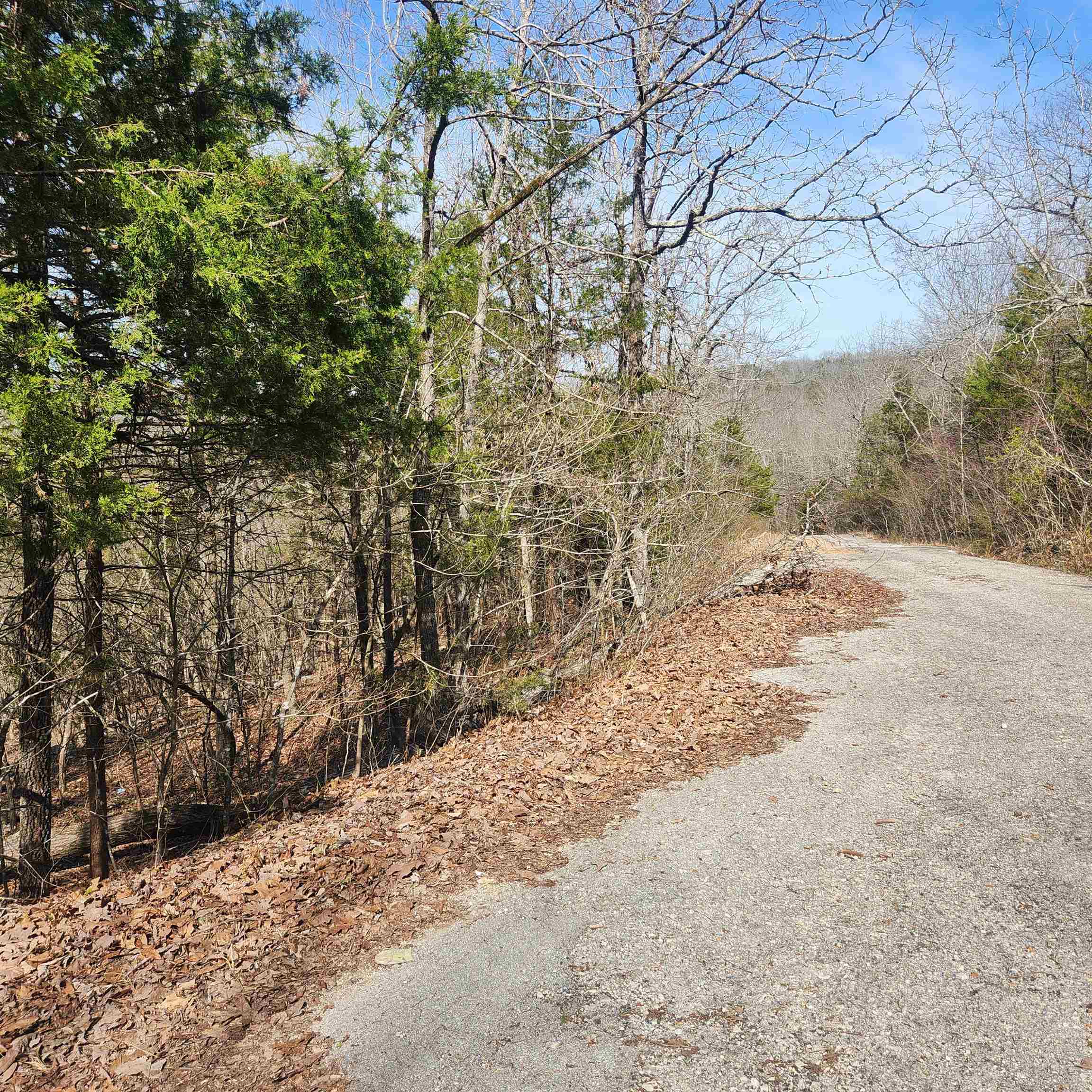 Photo 2 - Vacant Land for sale – L-43, B-4  Warclub   Cherokee Village, AR