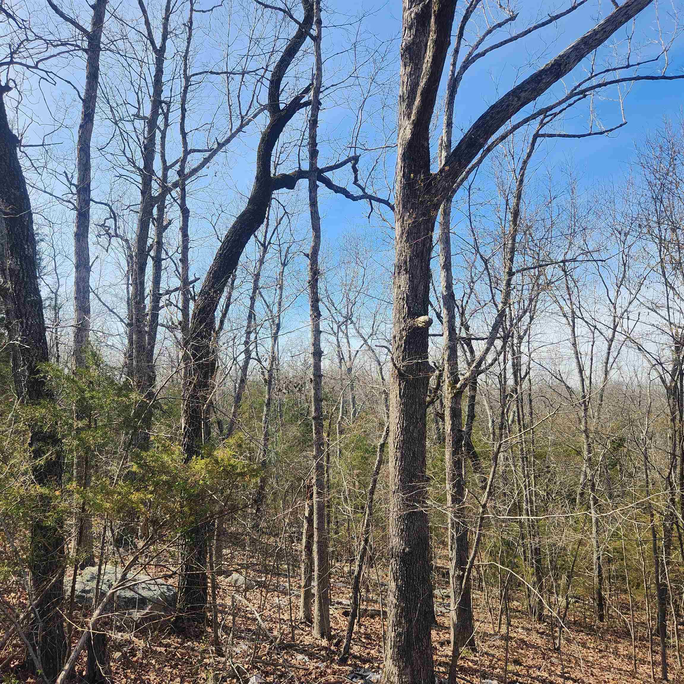 Photo 11 - Vacant Land for sale – L-43, B-4  Warclub   Cherokee Village, AR