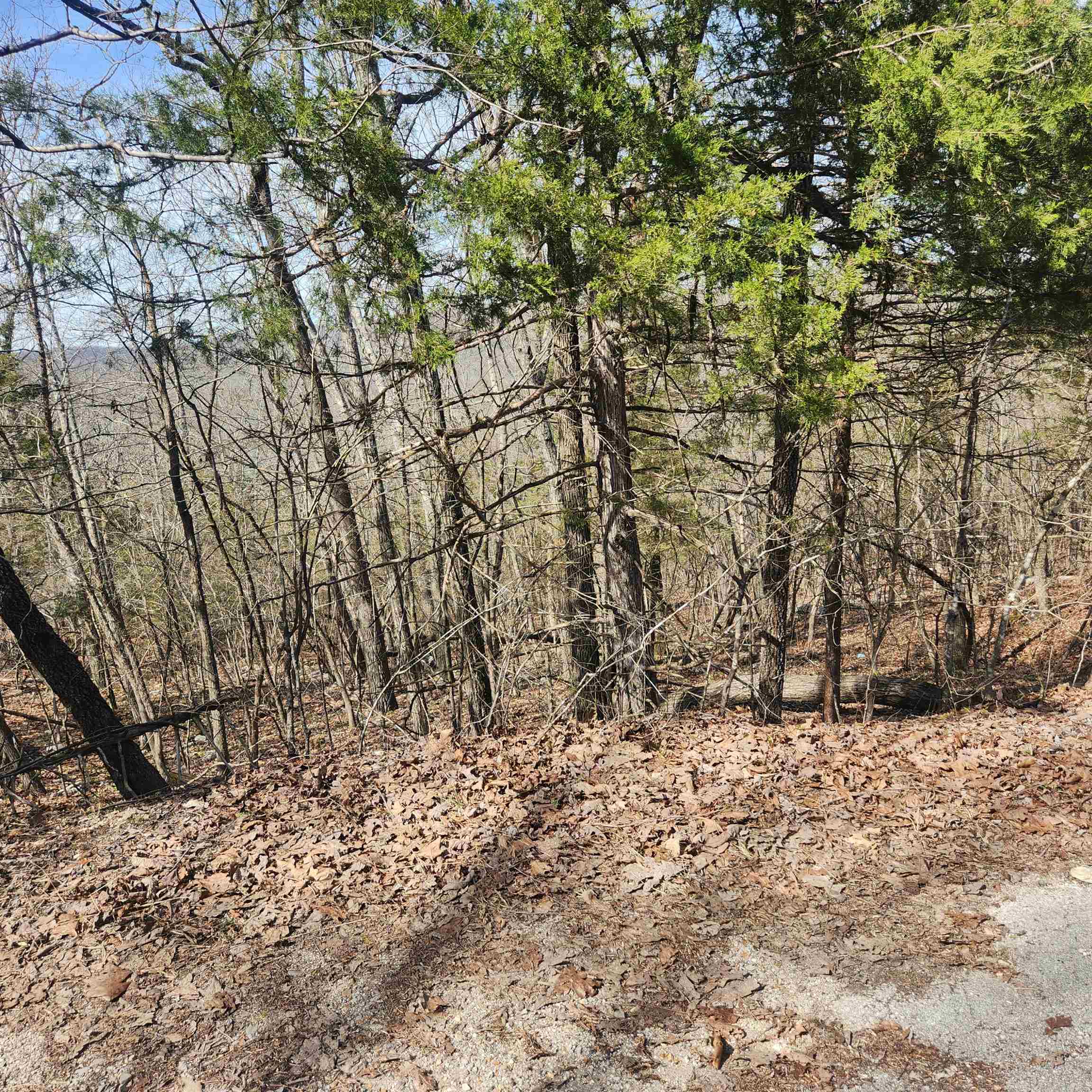 Photo 3 - Vacant Land for sale – L-43, B-4  Warclub   Cherokee Village, AR