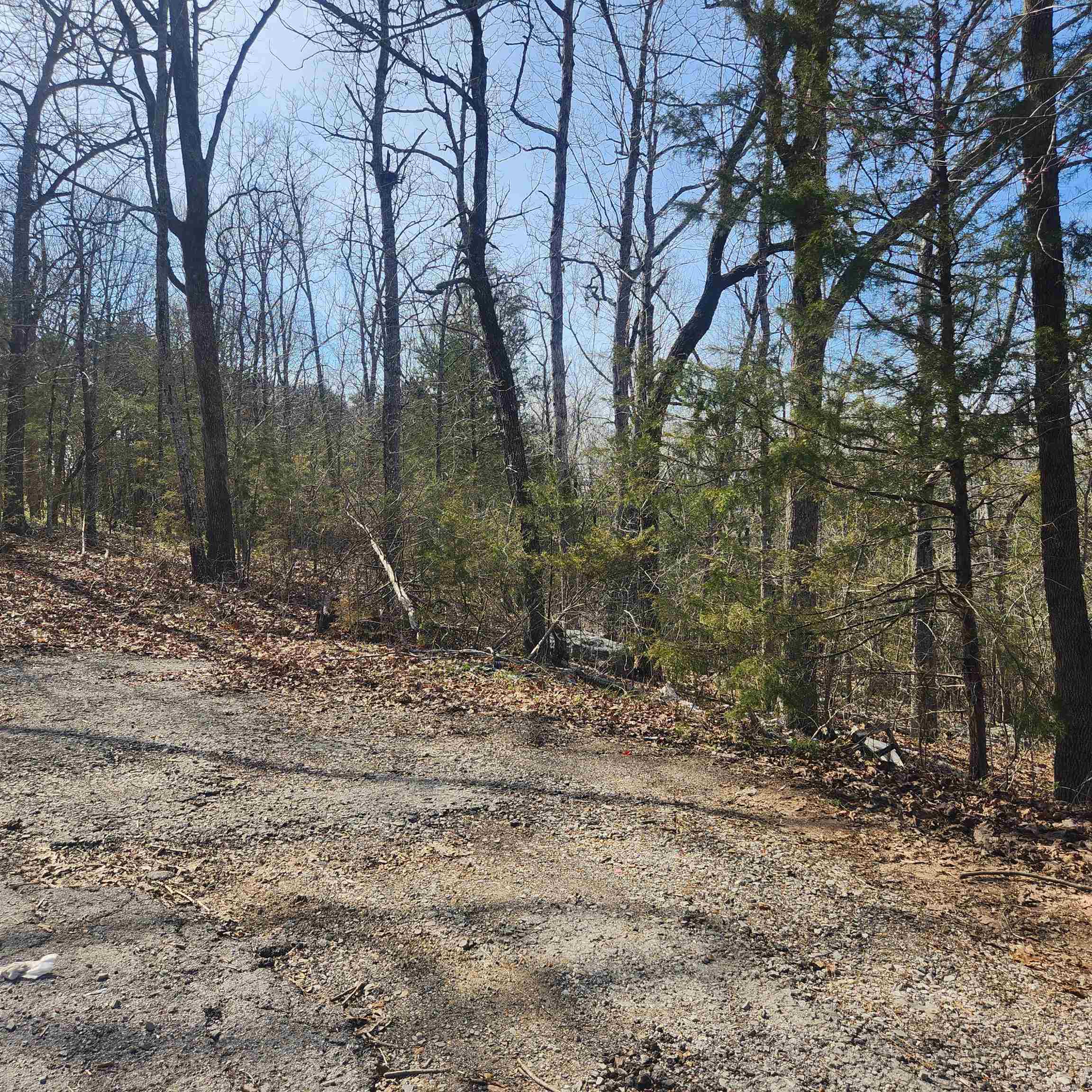 Photo 4 - Vacant Land for sale – L-43, B-4  Warclub   Cherokee Village, AR