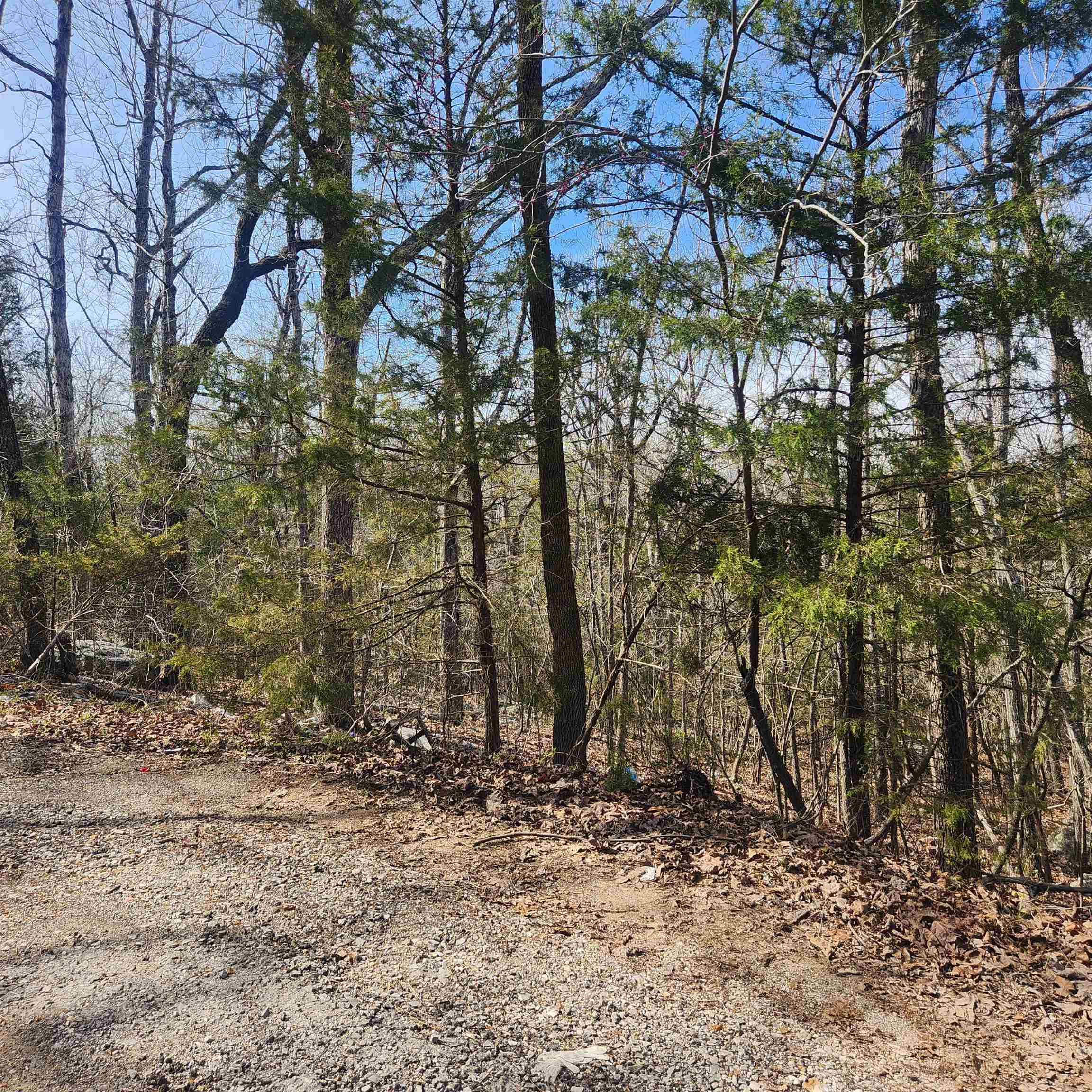 Photo 5 - Vacant Land for sale – L-43, B-4  Warclub   Cherokee Village, AR