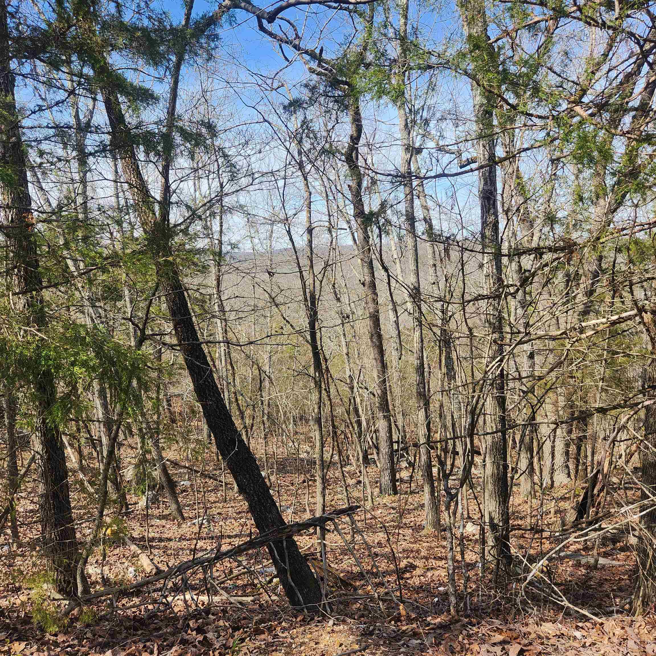Photo 6 - Vacant Land for sale – L-43, B-4  Warclub   Cherokee Village, AR