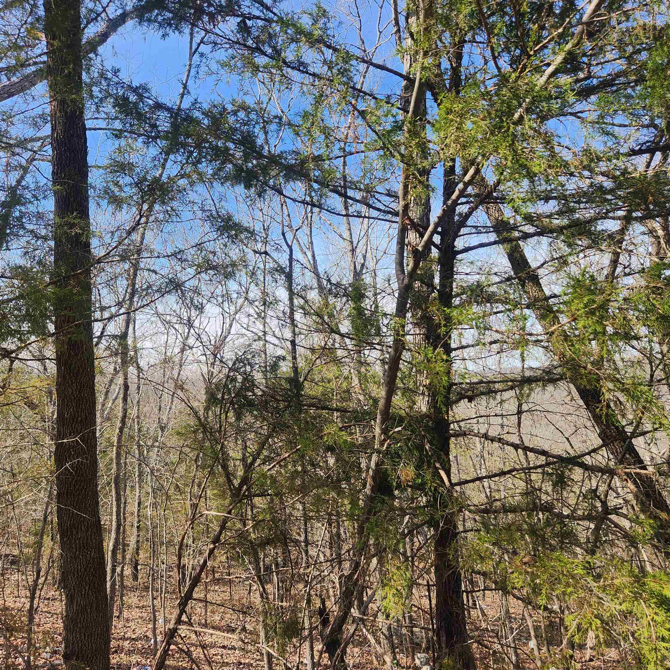 Photo 7 - Vacant Land for sale – L-43, B-4  Warclub   Cherokee Village, AR