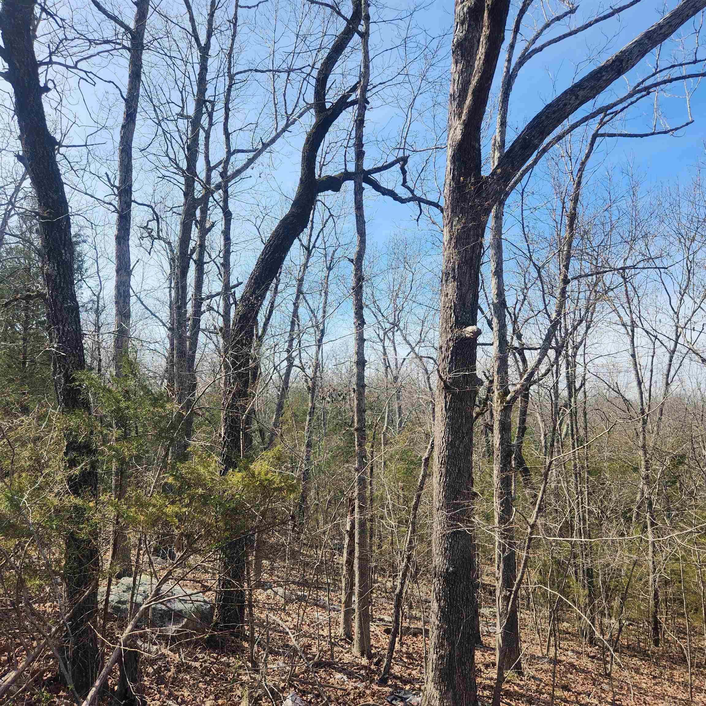 Photo 8 - Vacant Land for sale – L-43, B-4  Warclub   Cherokee Village, AR