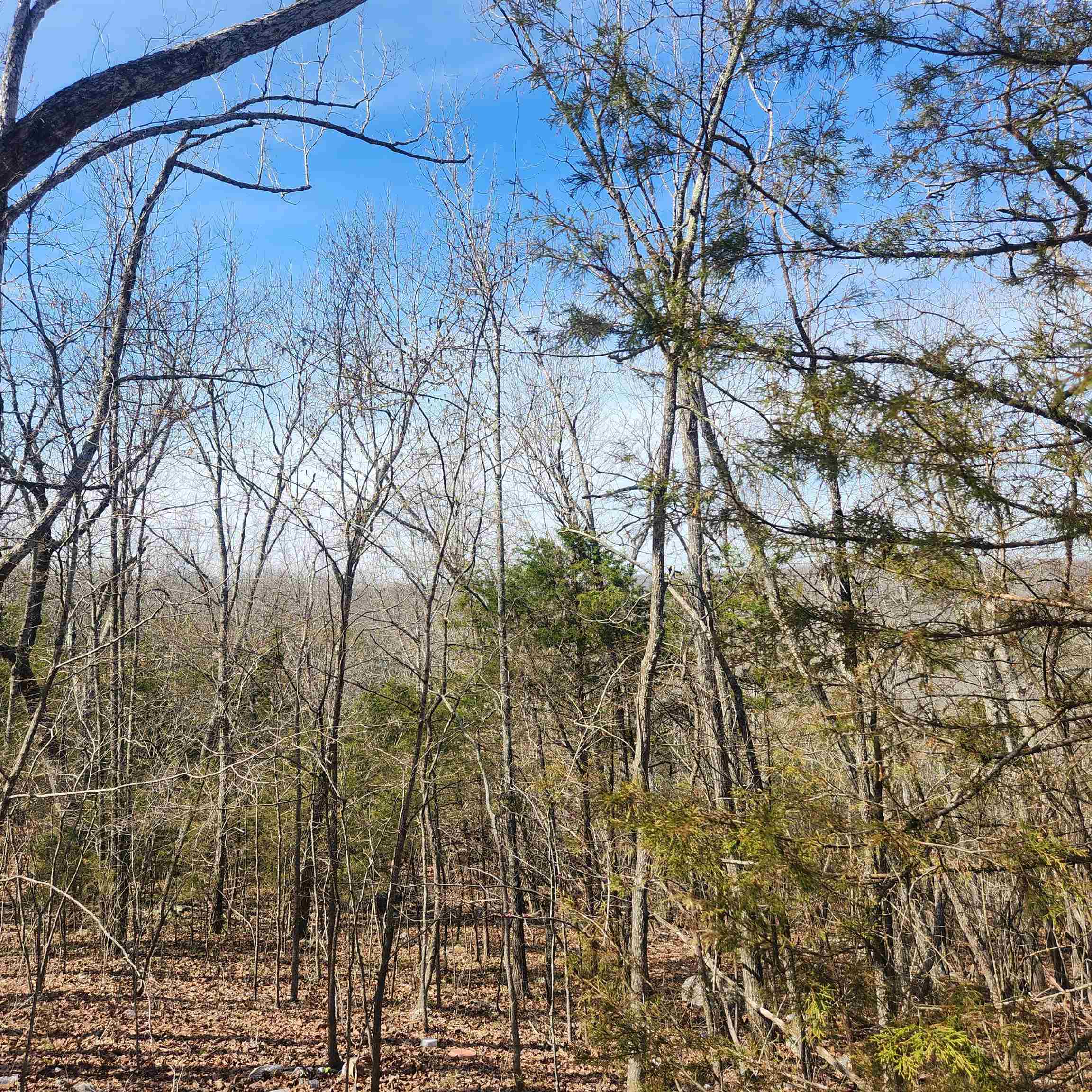 Photo 9 - Vacant Land for sale – L-43, B-4  Warclub   Cherokee Village, AR