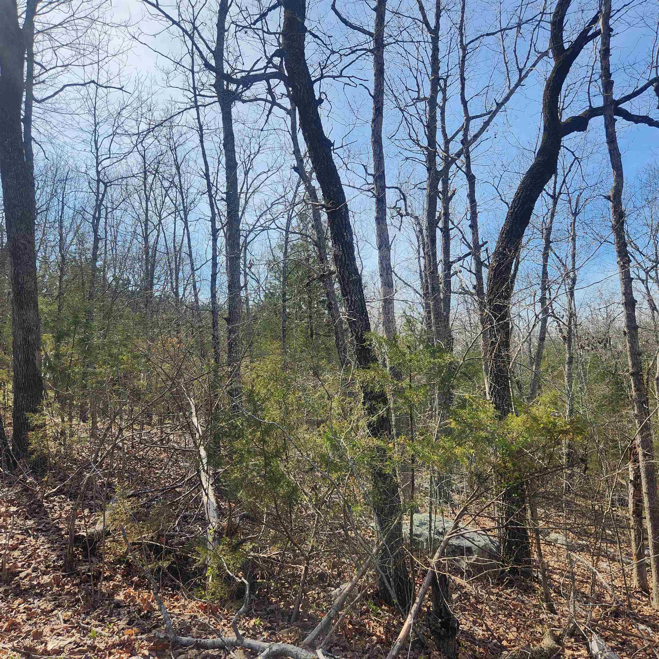 Photo 10 - Vacant Land for sale – L-43, B-4  Warclub   Cherokee Village, AR