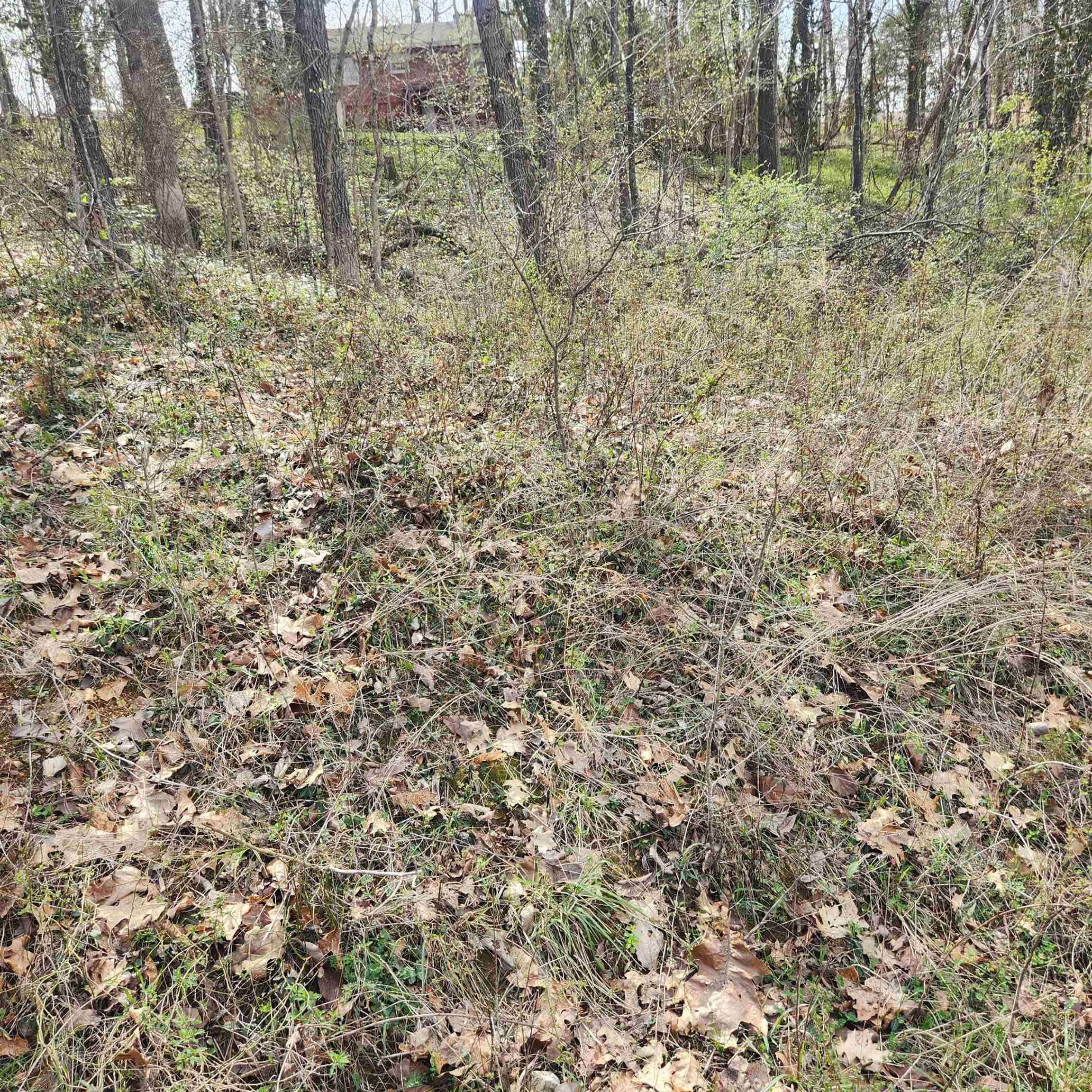 Photo 2 - Vacant Land for sale – L-6, B-4  Tomahawk   Cherokee Village, AR