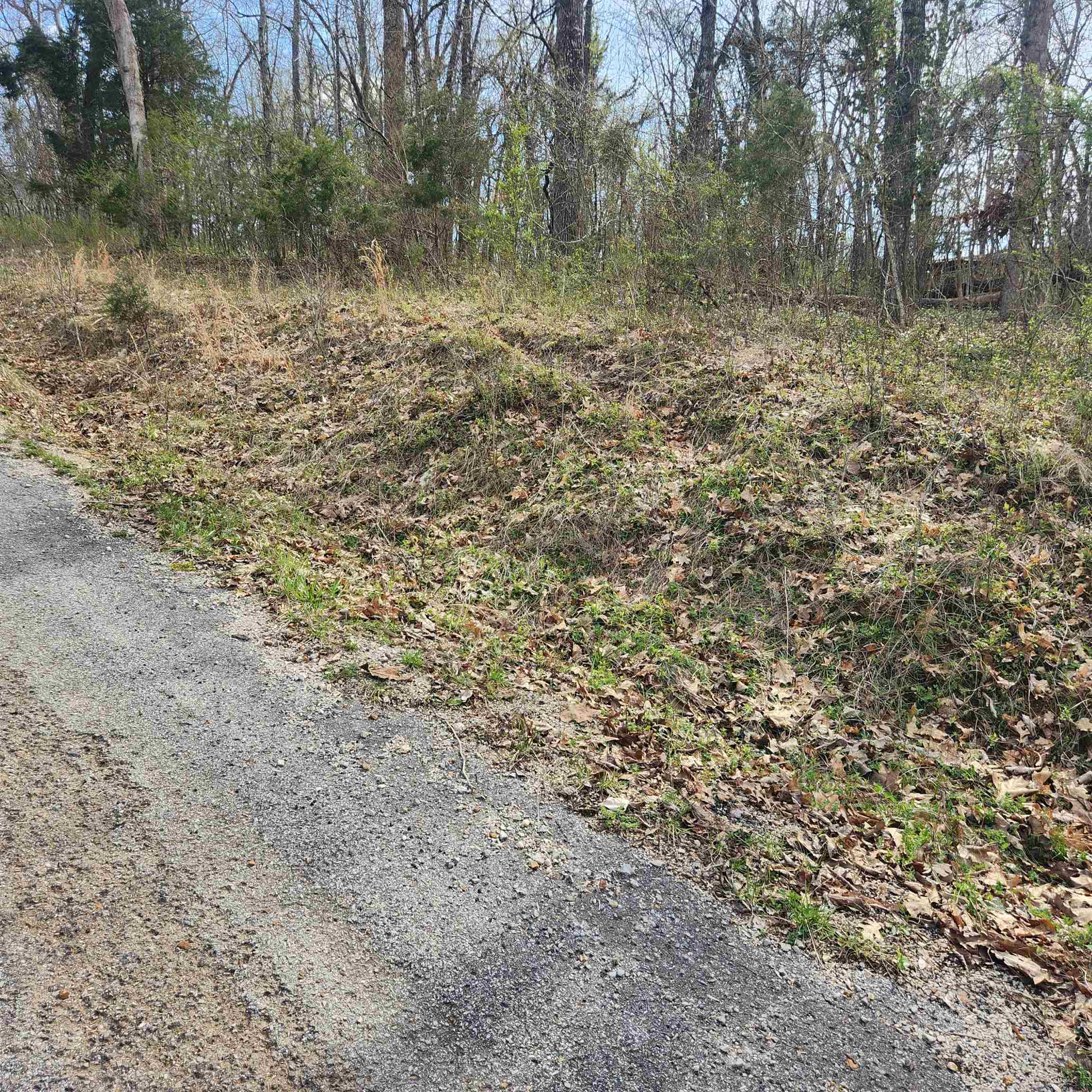 Photo 11 - Vacant Land for sale – L-6, B-4  Tomahawk   Cherokee Village, AR