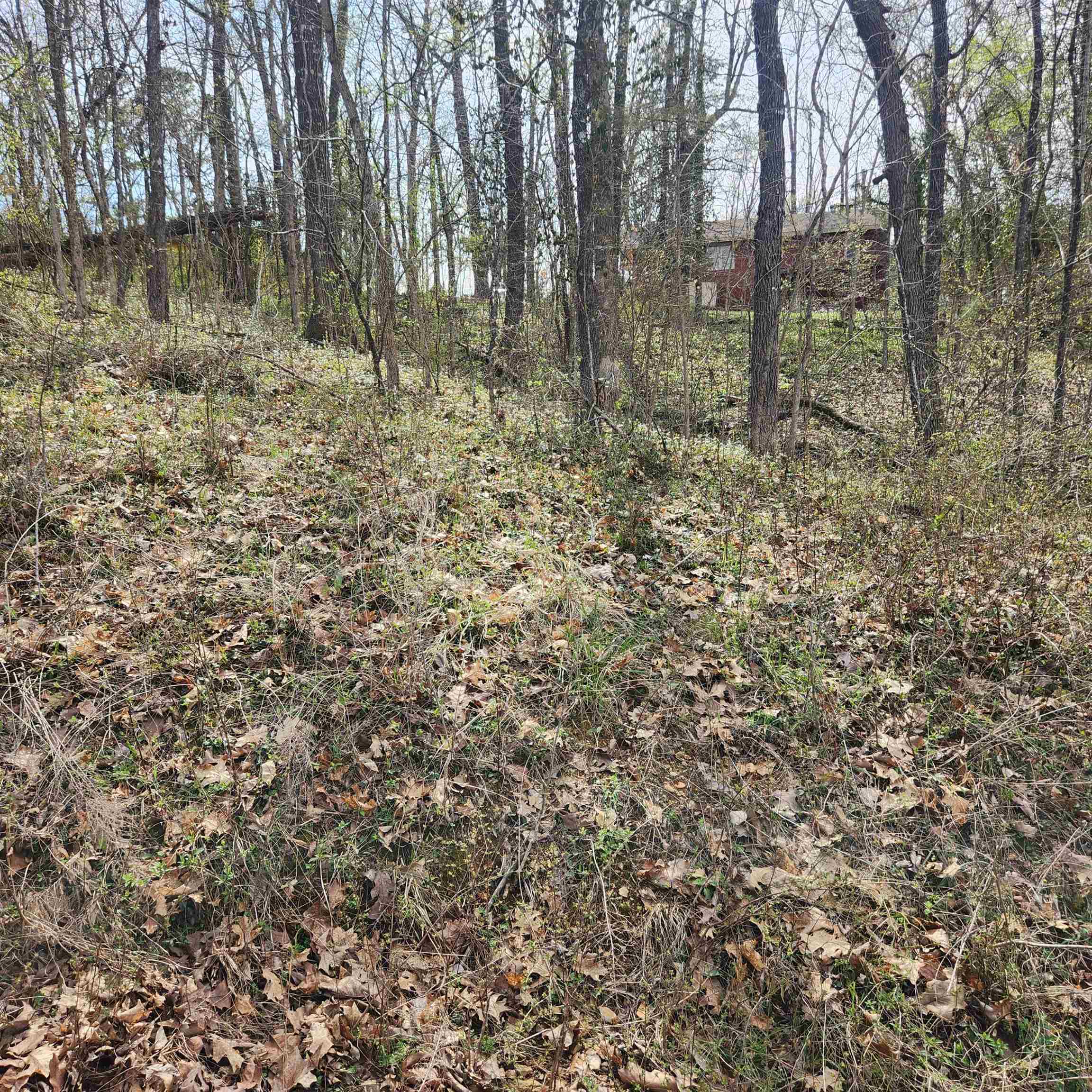 Photo 3 - Vacant Land for sale – L-6, B-4  Tomahawk   Cherokee Village, AR