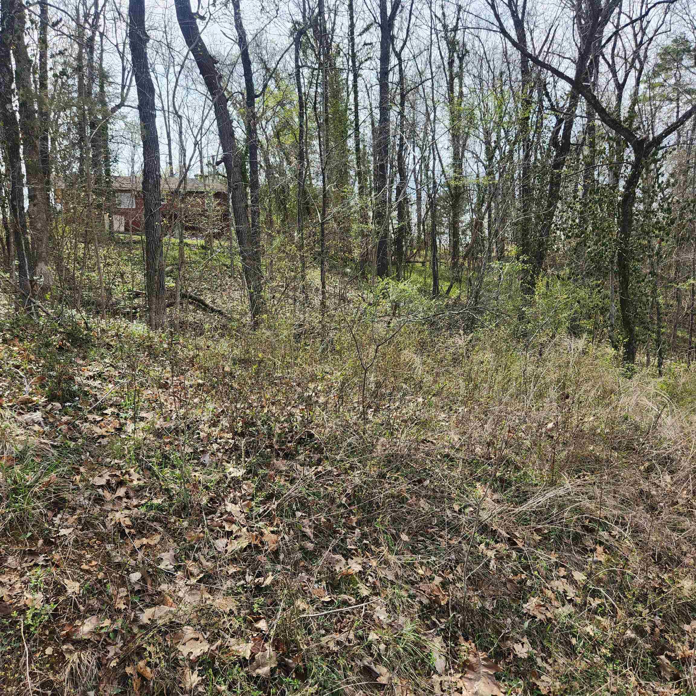 Photo 4 - Vacant Land for sale – L-6, B-4  Tomahawk   Cherokee Village, AR