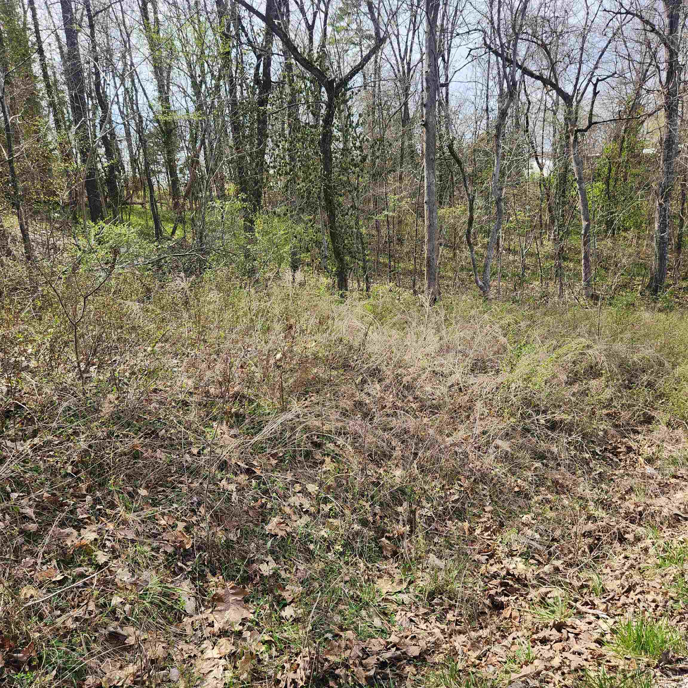 Photo 5 - Vacant Land for sale – L-6, B-4  Tomahawk   Cherokee Village, AR