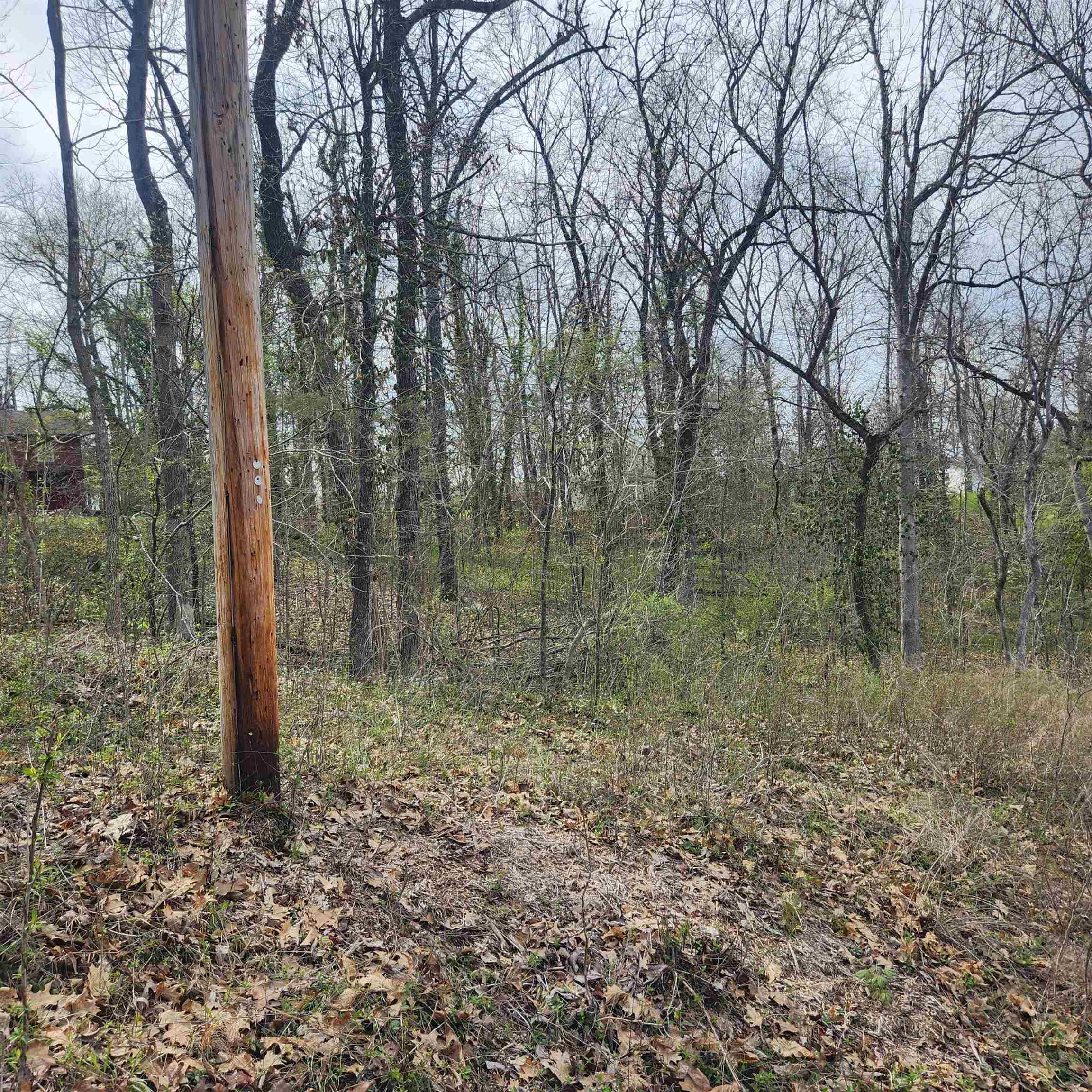Photo 6 - Vacant Land for sale – L-6, B-4  Tomahawk   Cherokee Village, AR