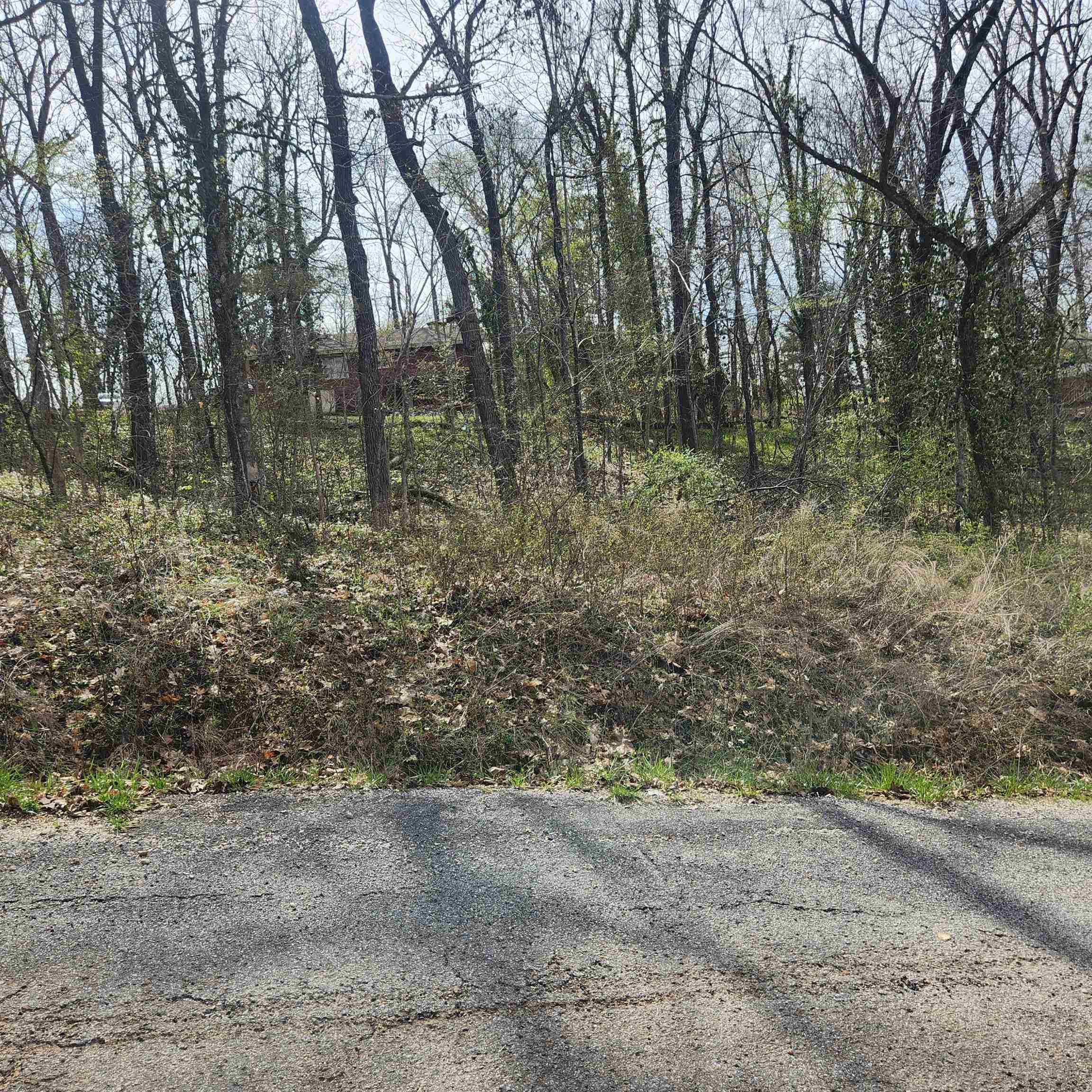 Photo 8 - Vacant Land for sale – L-6, B-4  Tomahawk   Cherokee Village, AR