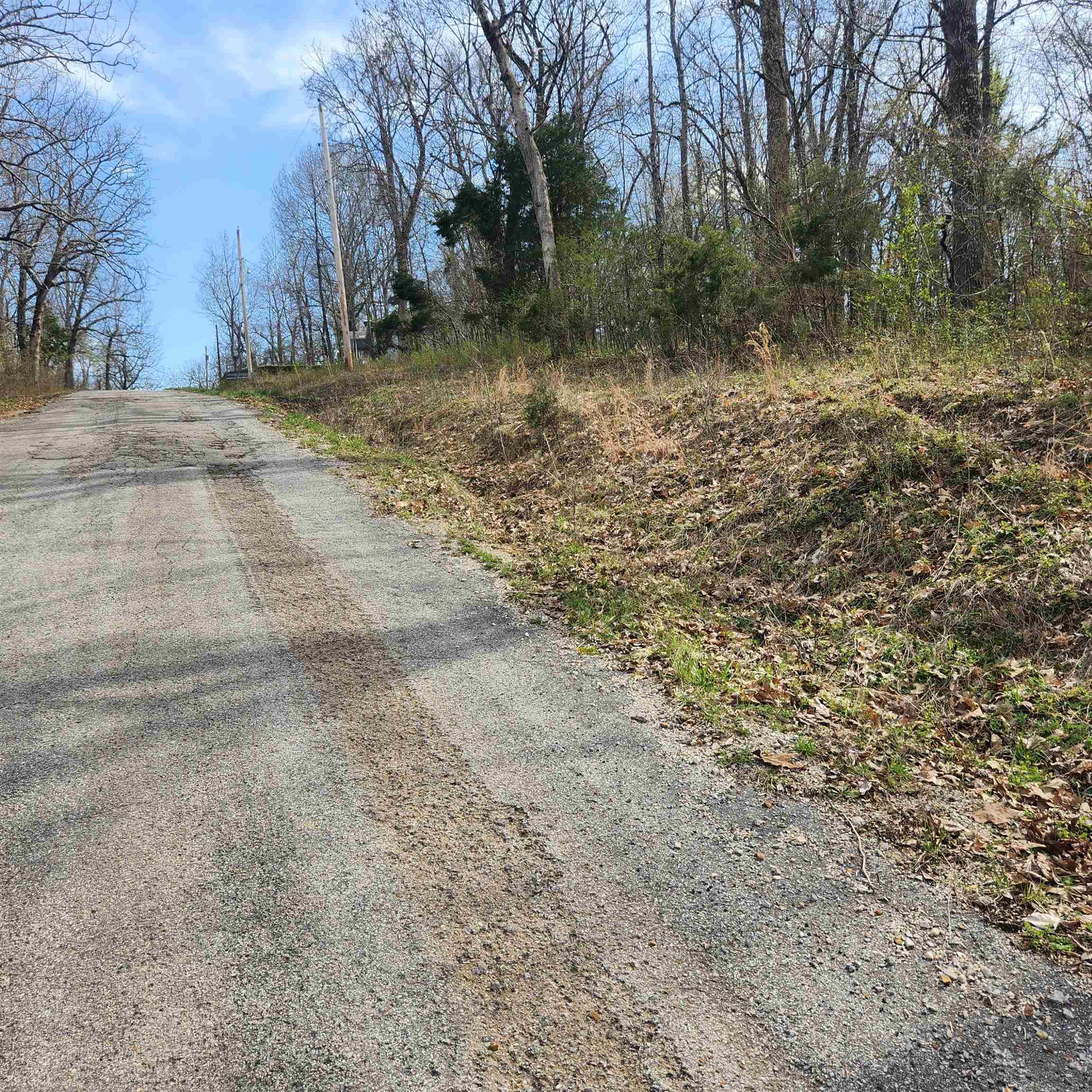 Photo 9 - Vacant Land for sale – L-6, B-4  Tomahawk   Cherokee Village, AR