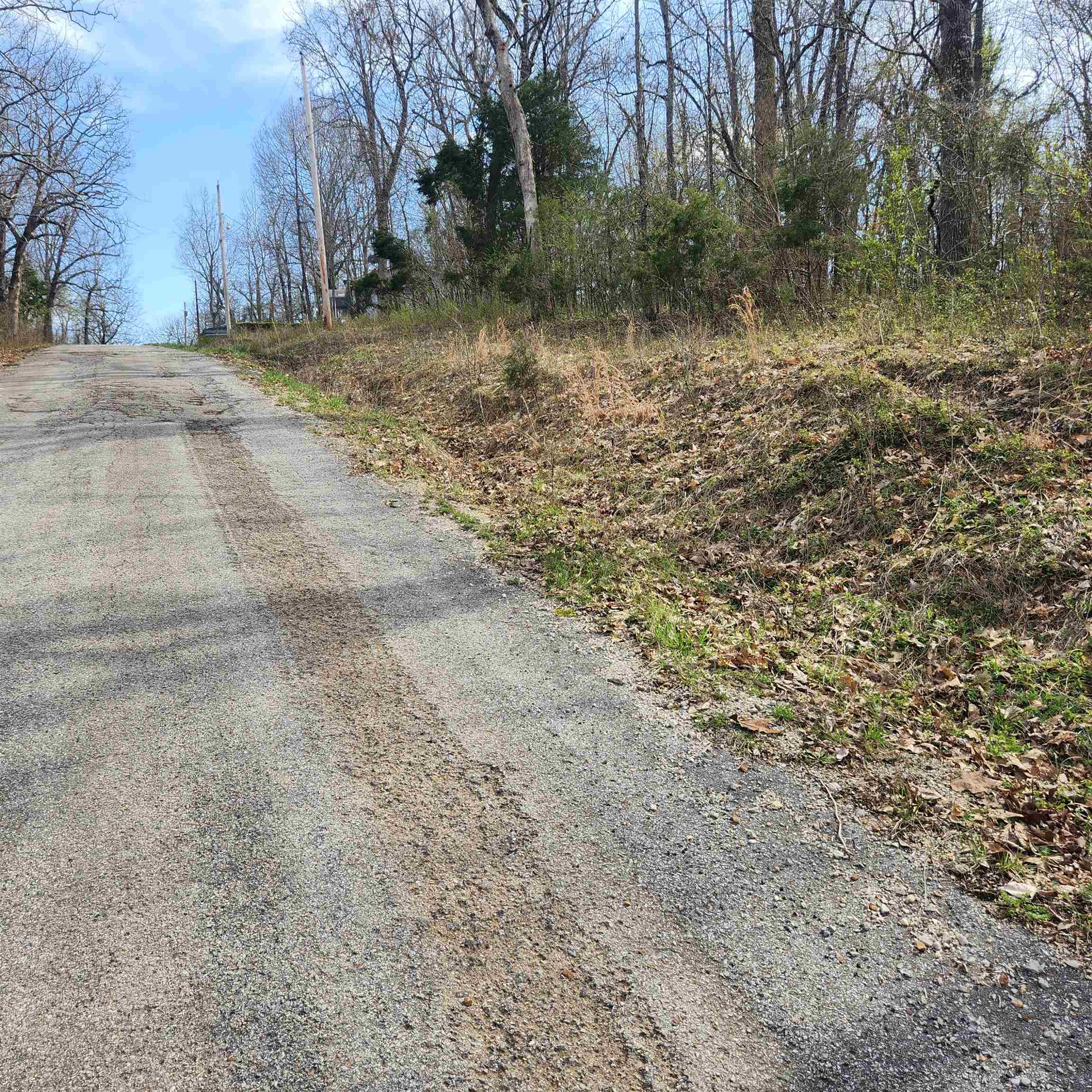 Photo 10 - Vacant Land for sale – L-6, B-4  Tomahawk   Cherokee Village, AR