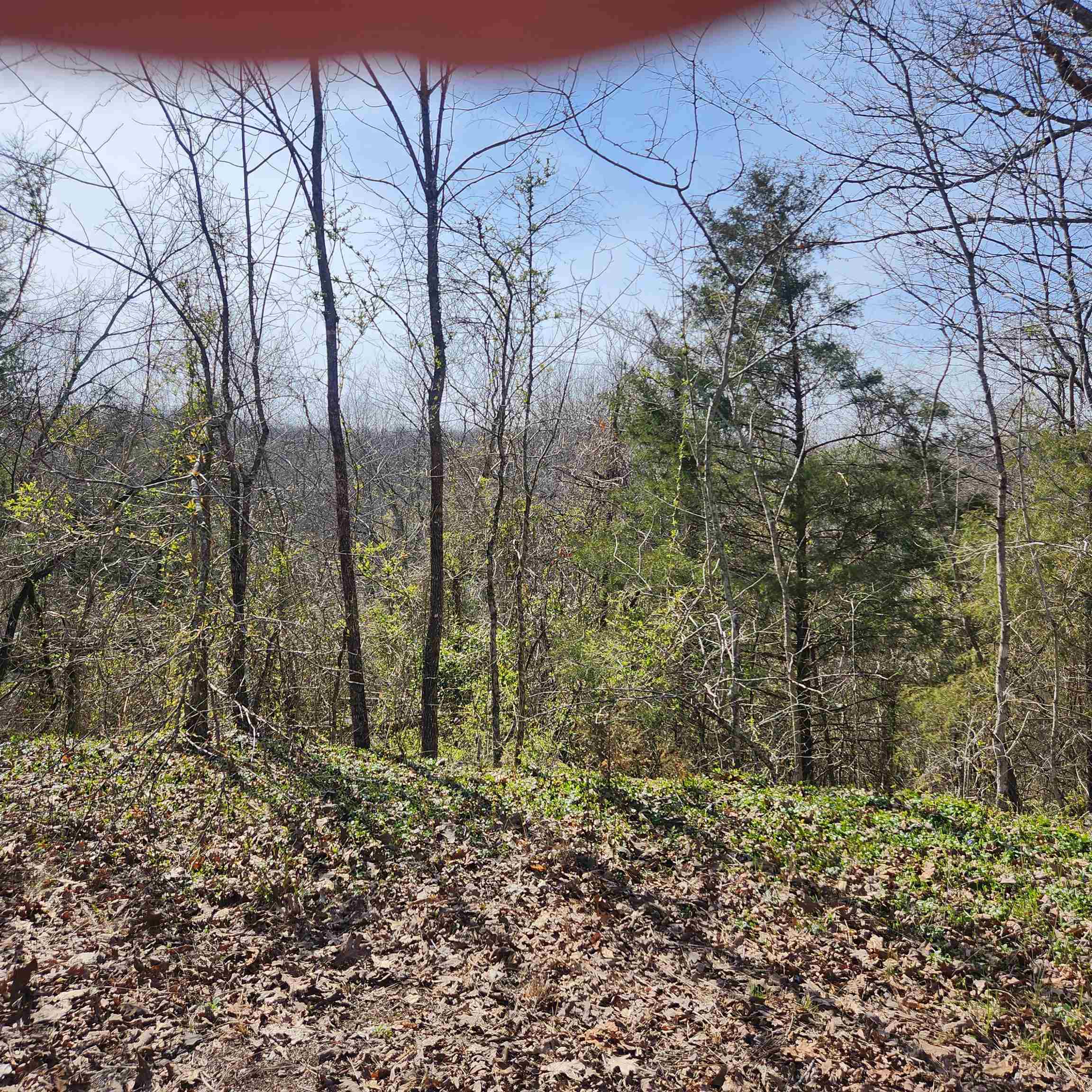 Vacant Land for sale – L-3, B-24  Algonquin   Cherokee Village, AR