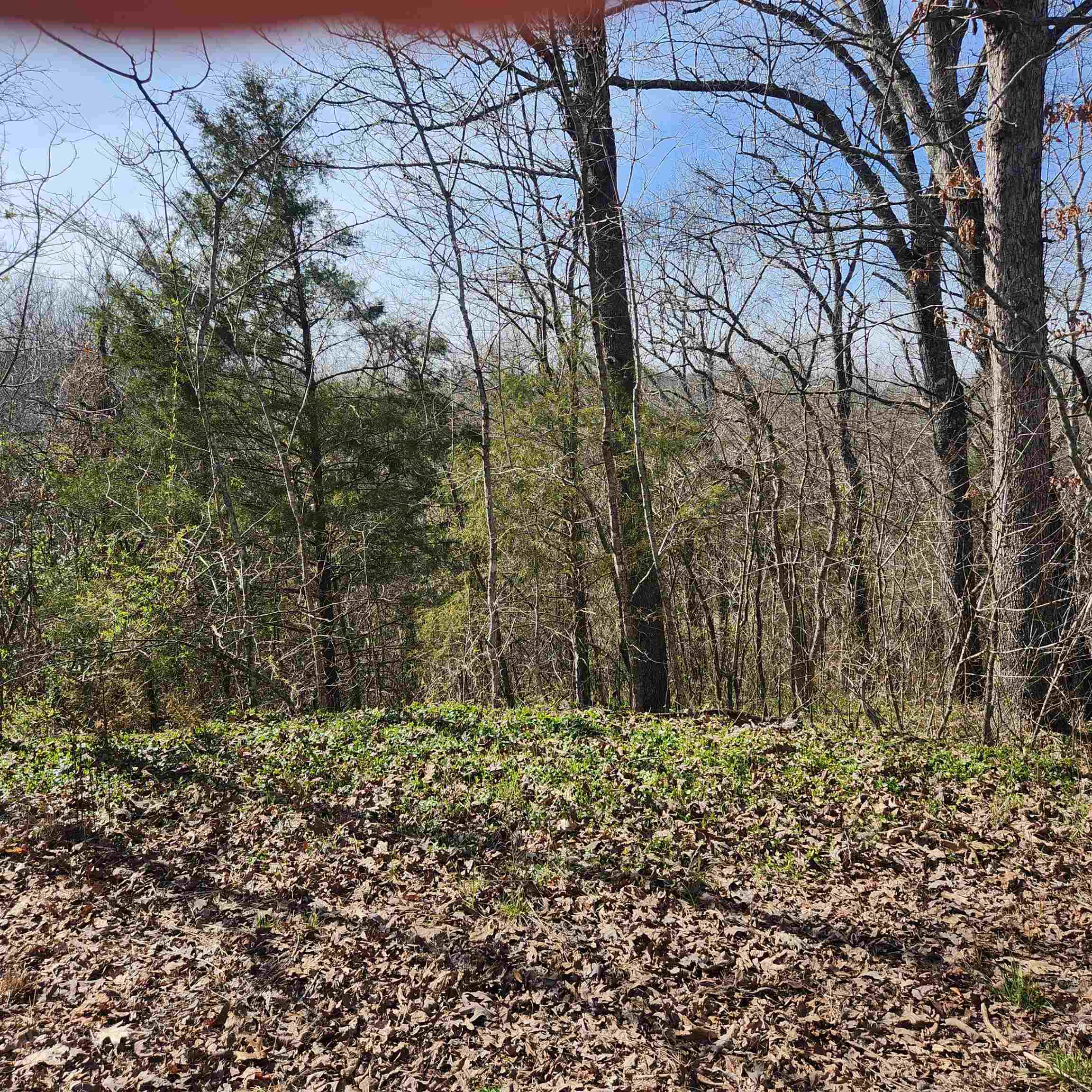 Photo 2 - Vacant Land for sale – L-3, B-24  Algonquin   Cherokee Village, AR