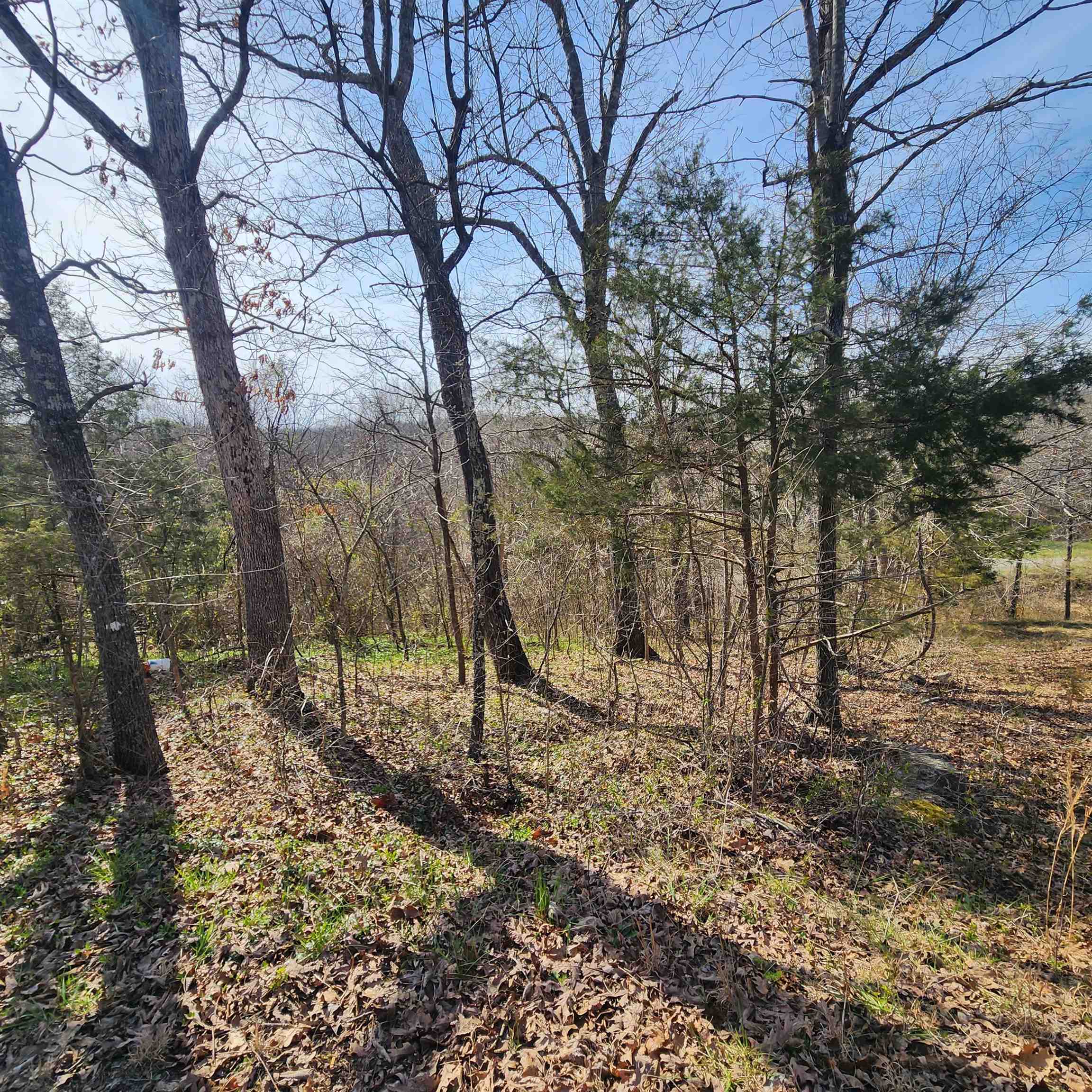 Photo 13 - Vacant Land for sale – L-3, B-24  Algonquin   Cherokee Village, AR