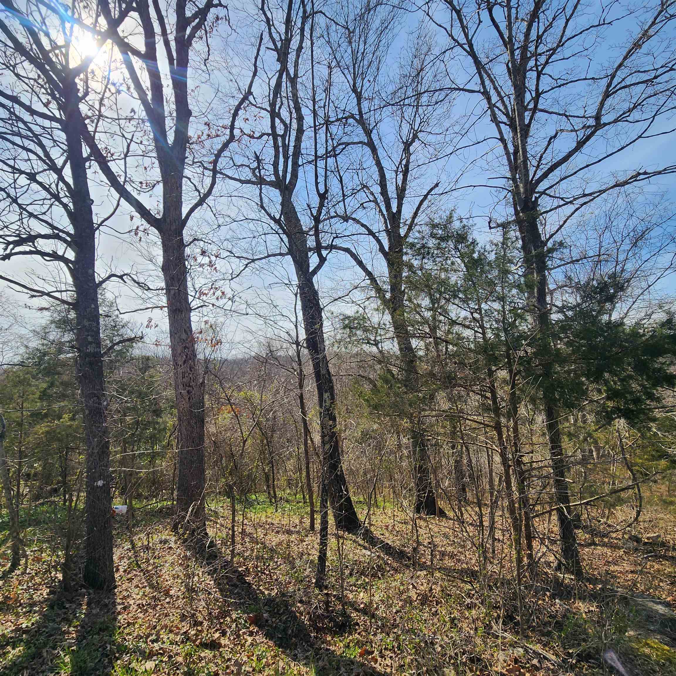 Photo 14 - Vacant Land for sale – L-3, B-24  Algonquin   Cherokee Village, AR