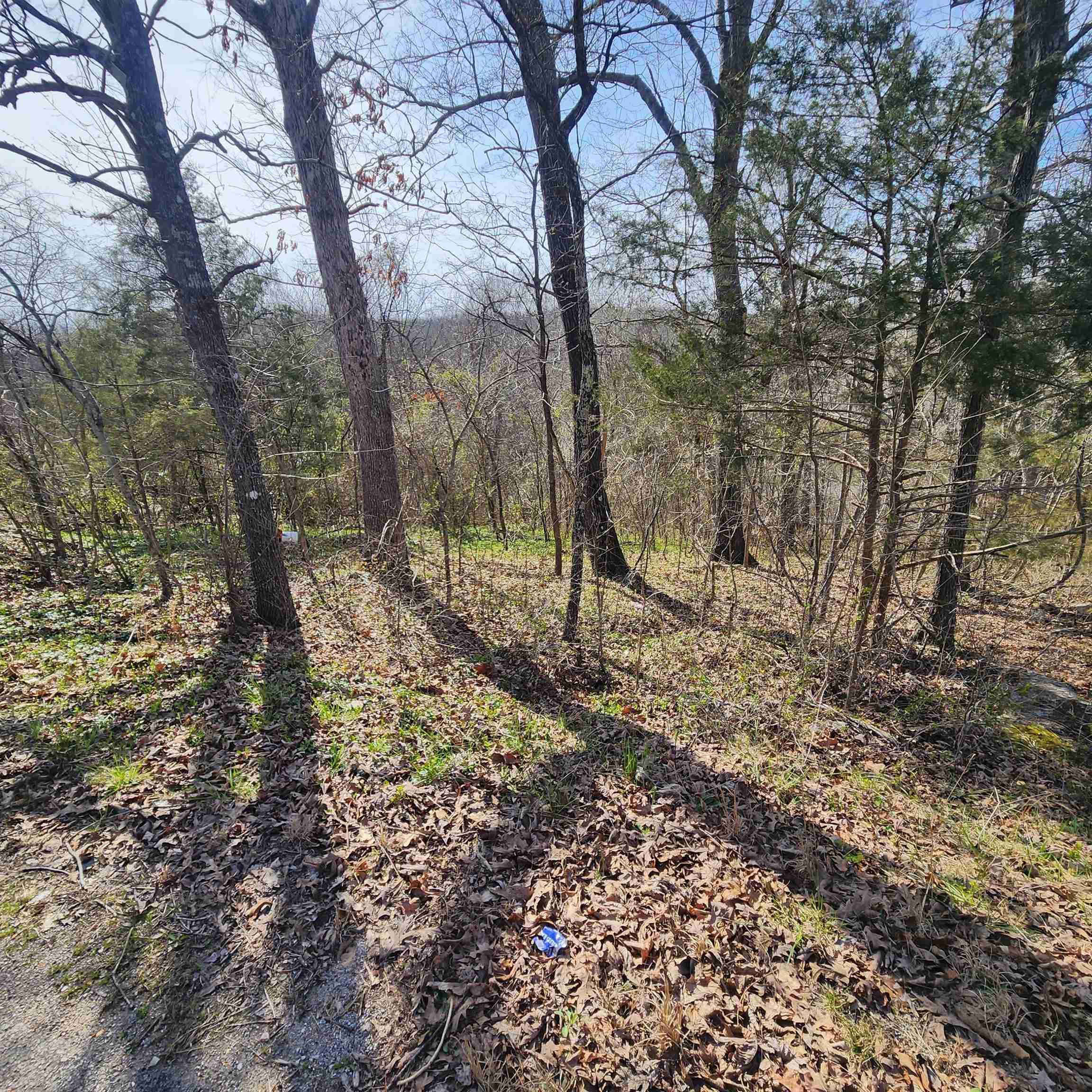 Photo 15 - Vacant Land for sale – L-3, B-24  Algonquin   Cherokee Village, AR